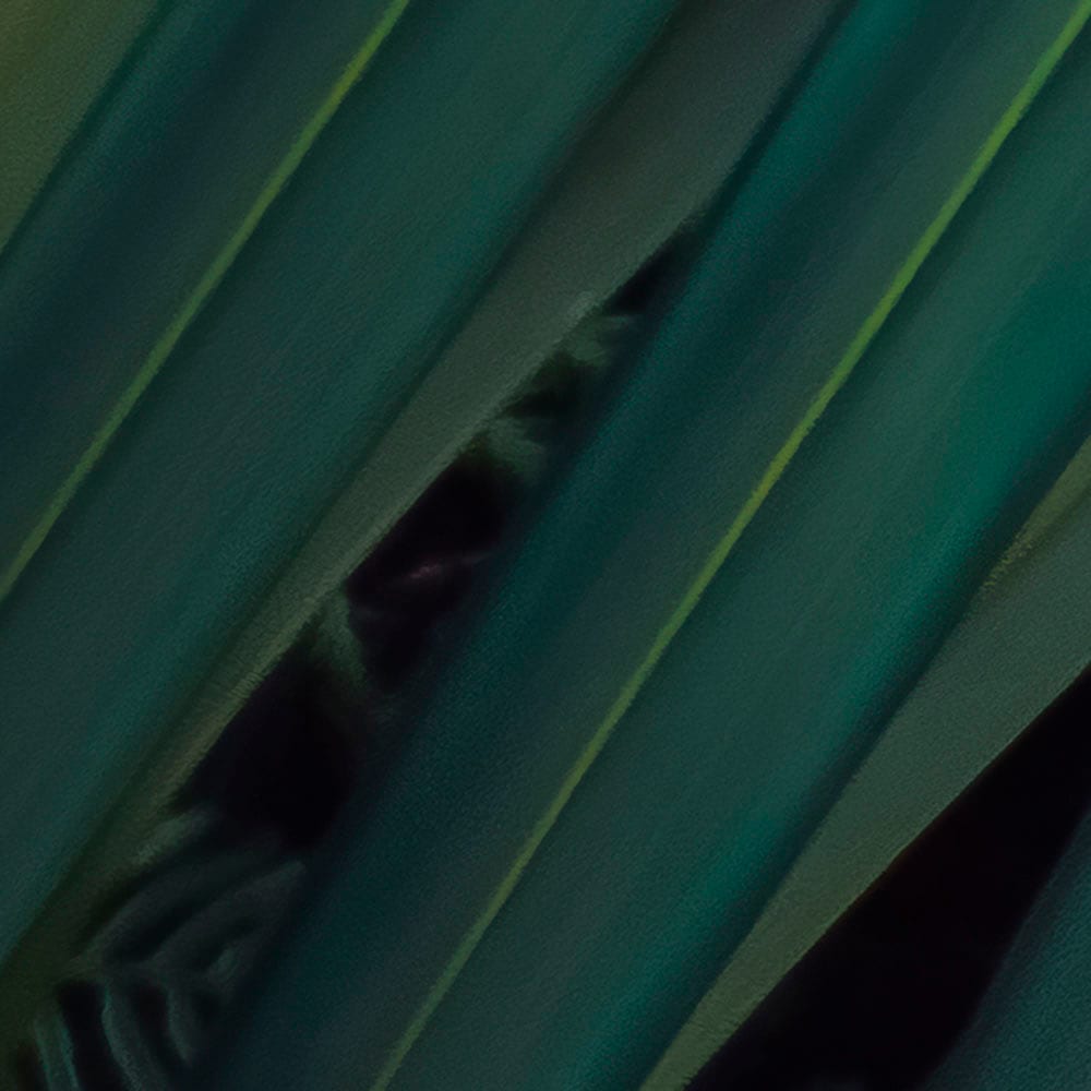 Komar Fototapete »Digitaldruck Vlies - Amazon Fern - Größe 400 x 250 cm«, bedruckt, Wohnzimmer, Schlafzimmer
