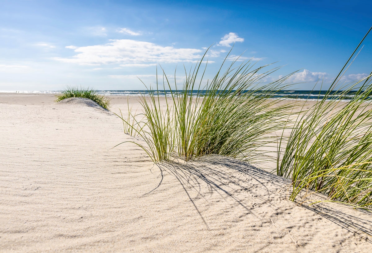 Papermoon Fototapete »DÜNEN-NATUR NORD SEE SAND STRAND MEER WÜSTE LANDSCHAF günstig online kaufen