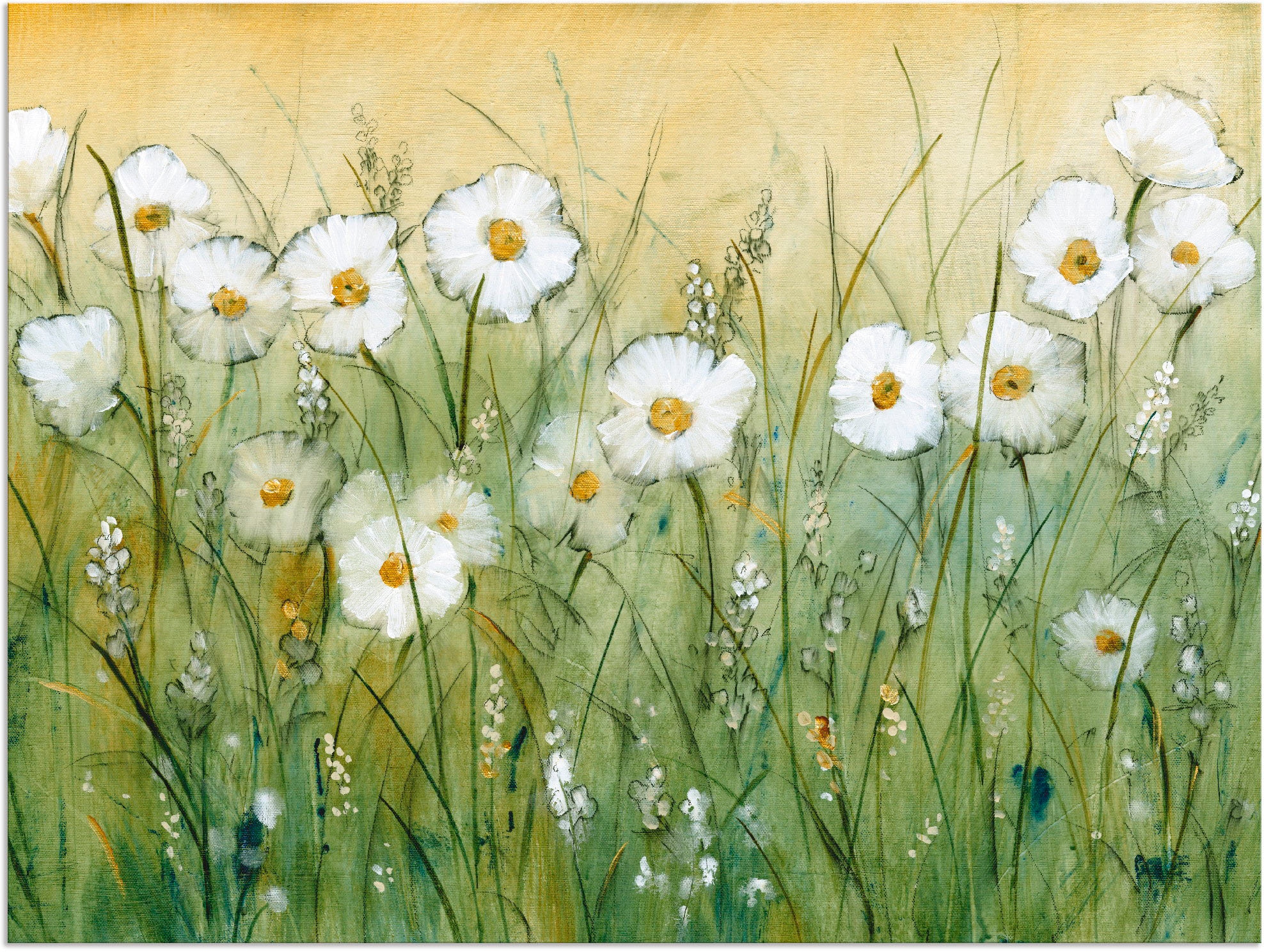 Artland Wandbild »Gänseblümchenfrühling II« 1 Stk. tlg. als Alubild, Outdoo günstig online kaufen