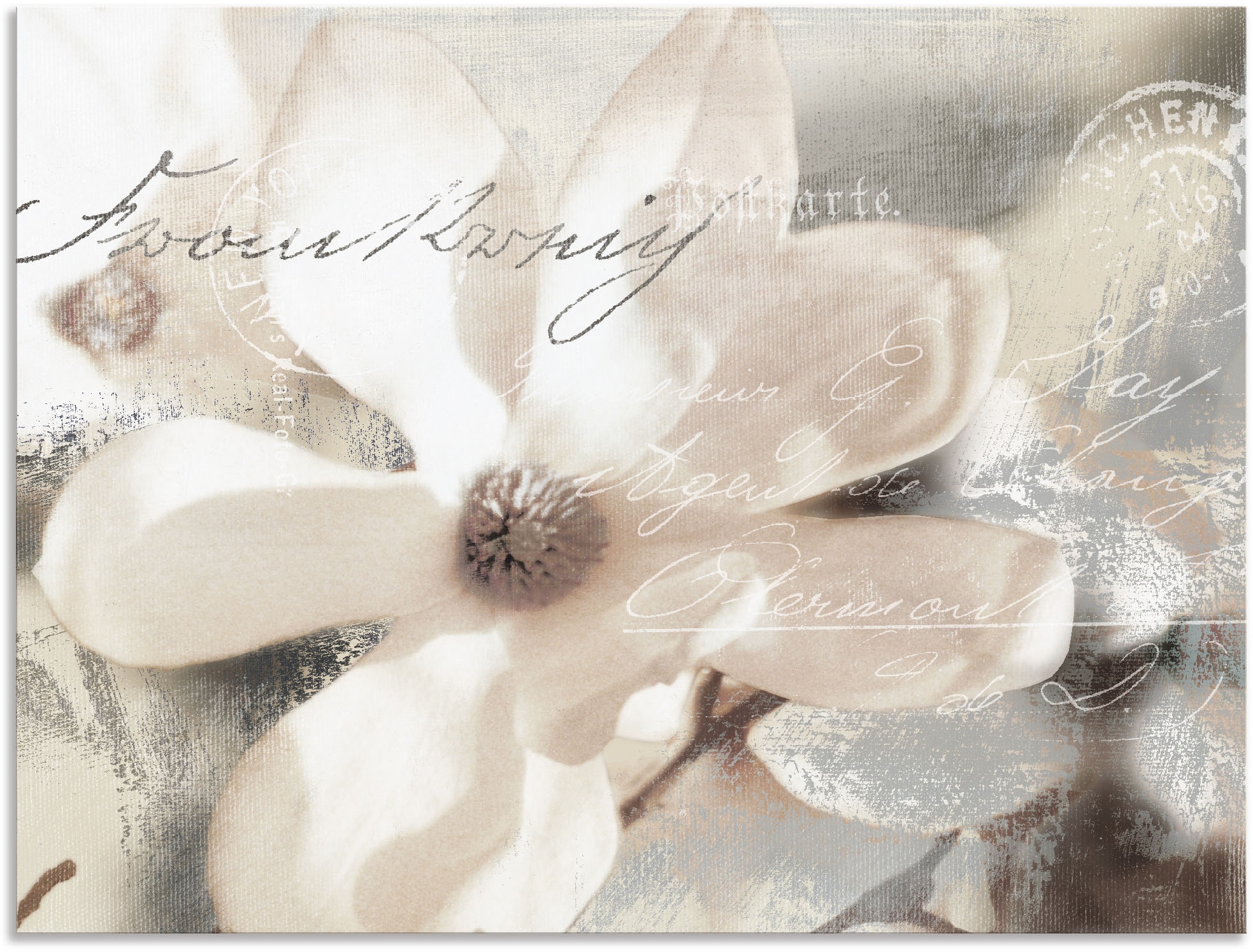 Artland Wandbild »Magnolie_Detail«, Blumenbilder, (1 St.), als Alubild, Out günstig online kaufen