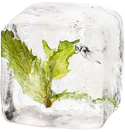 APS Eiswürfelform, (Set, 2 St.), inkl. transparentem Deckel, 4x4x4 cm, für bis zu 9 Eiswürfel