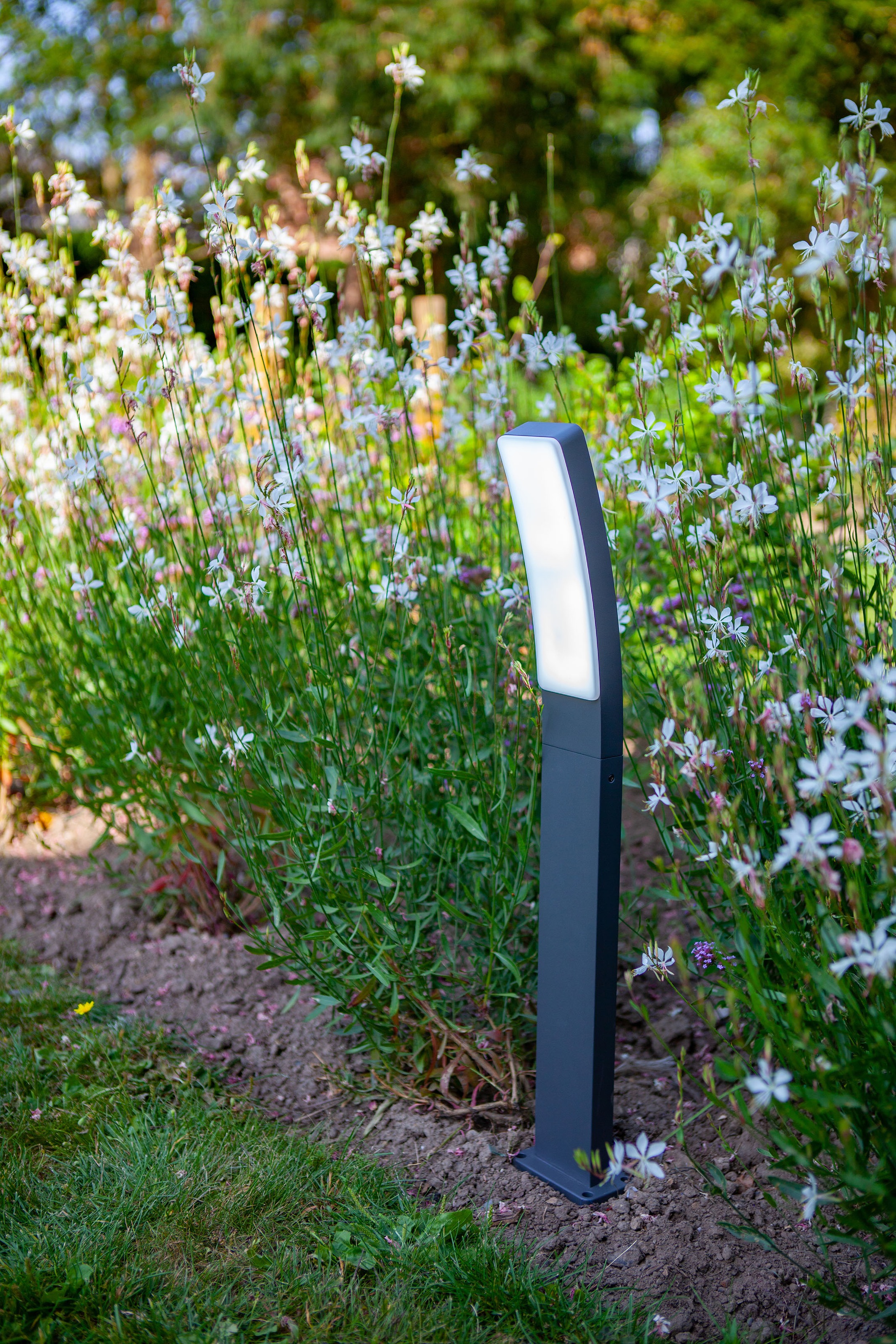 LUTEC LED Außen-Wandleuchte »KIRA«, Leuchtmittel LED-Modul | LED fest integriert