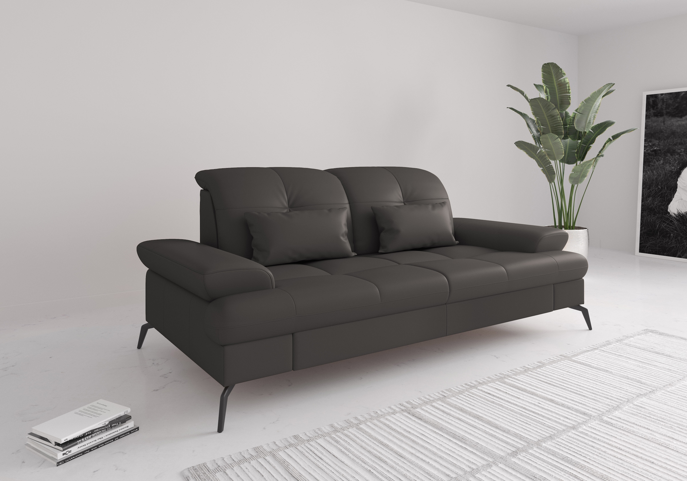 sit&more 2,5-Sitzer »Amica«, inkl Sitztiefenverstellung und Armteilverstell günstig online kaufen
