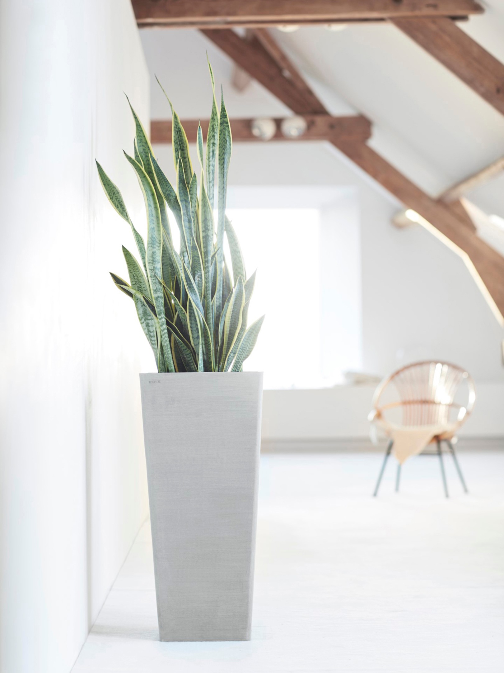 ECOPOTS Blumentopf »Rotterdam hoch 70 Weißgrau« für innen und außen: frostsicher, bruchsicher und lichtbeständig