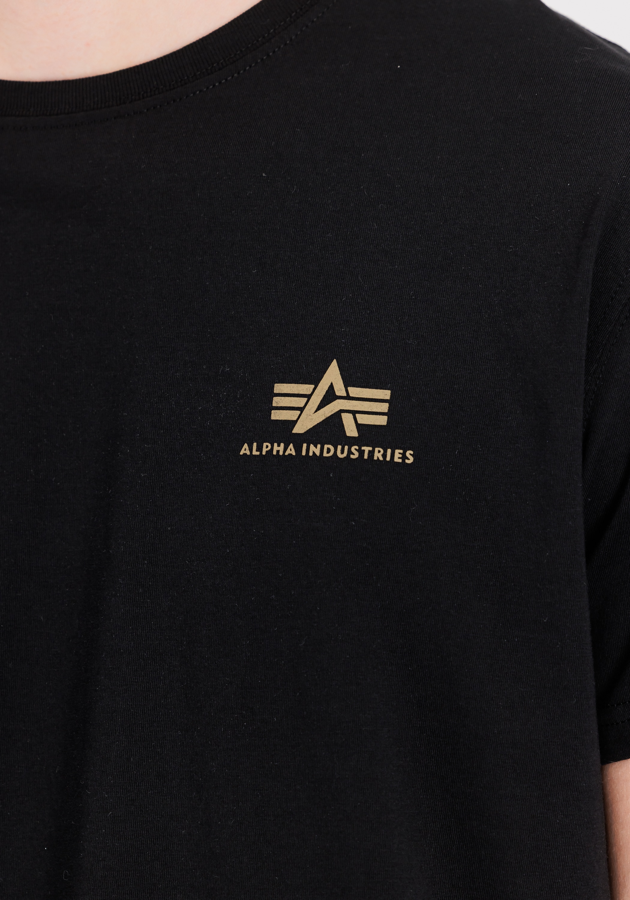 Alpha Industries T-Shirt »Backprint T-Shirt Camo Print«