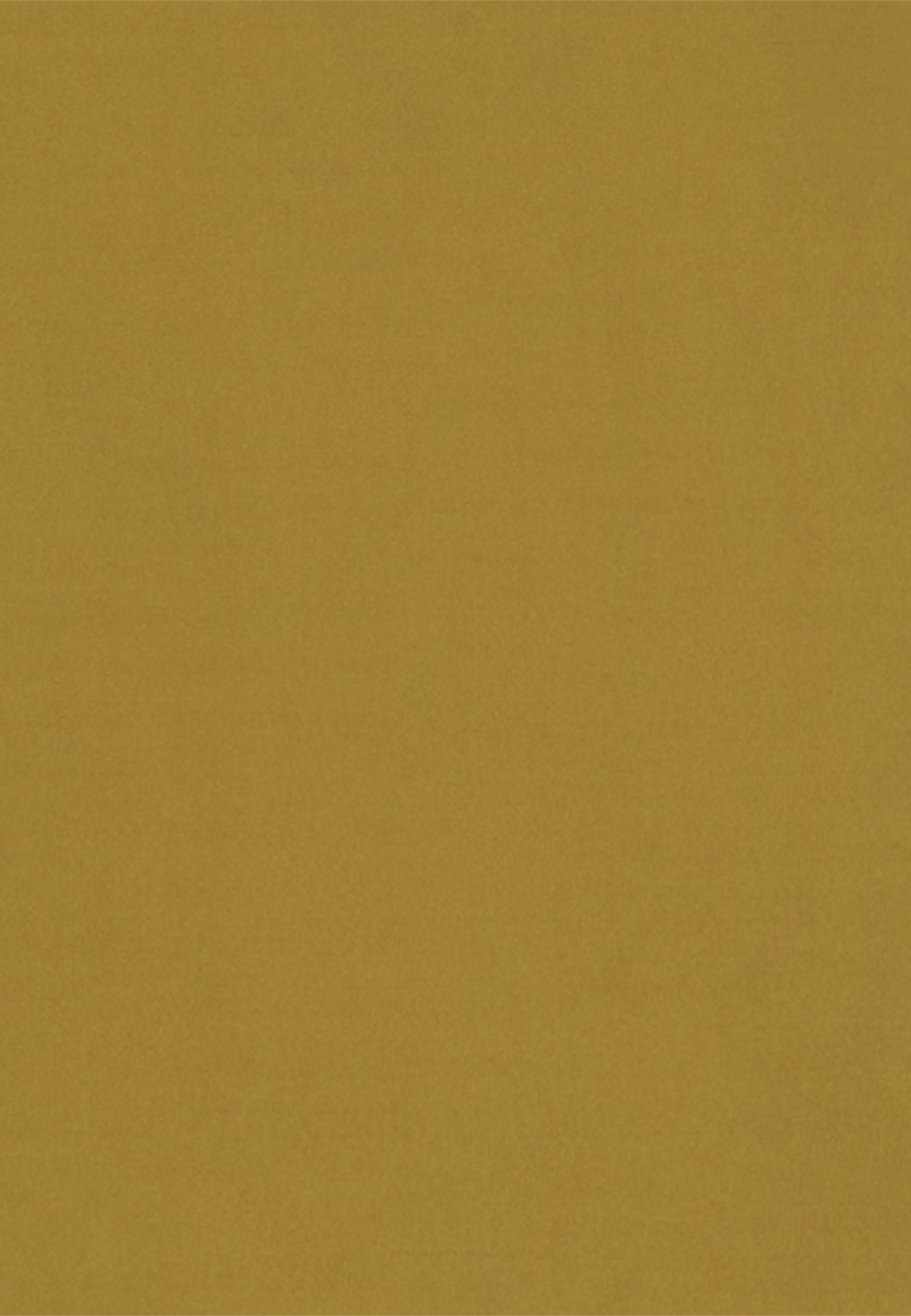 studio seidensticker »Studio« Kurzarm Rundhals Uni