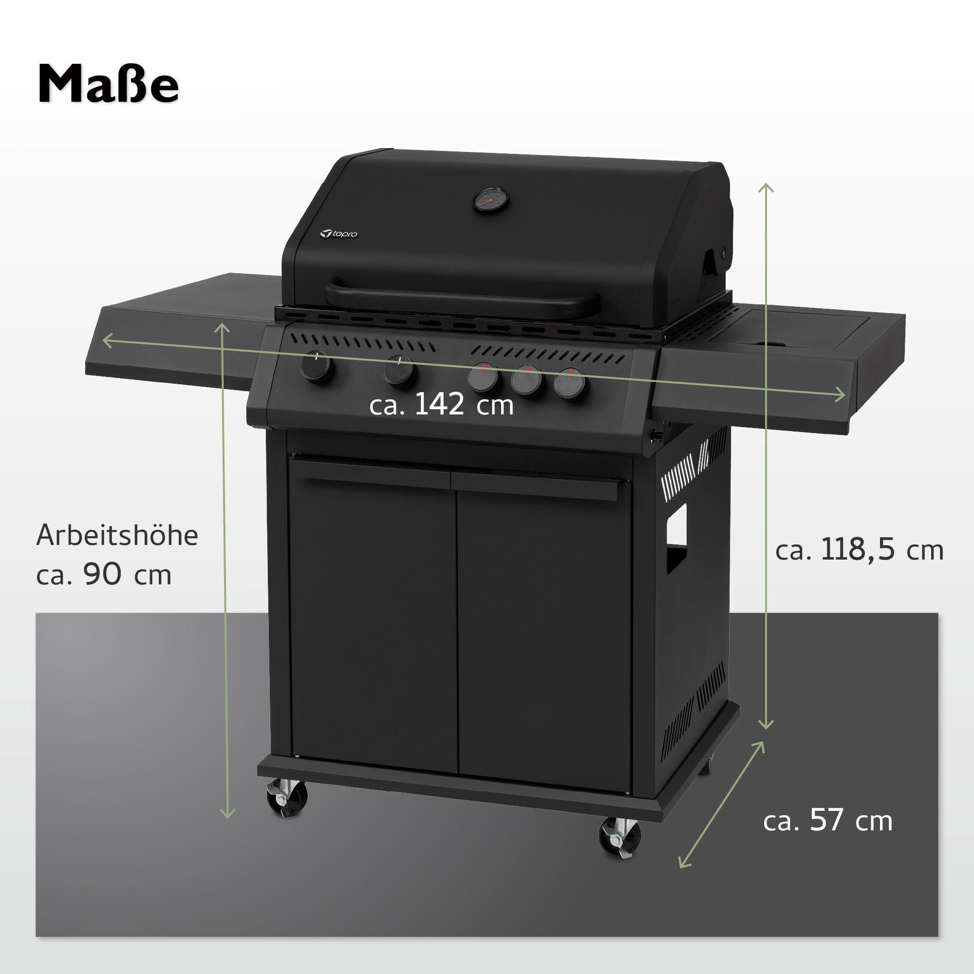 Tepro Gasgrill »Riverbank«