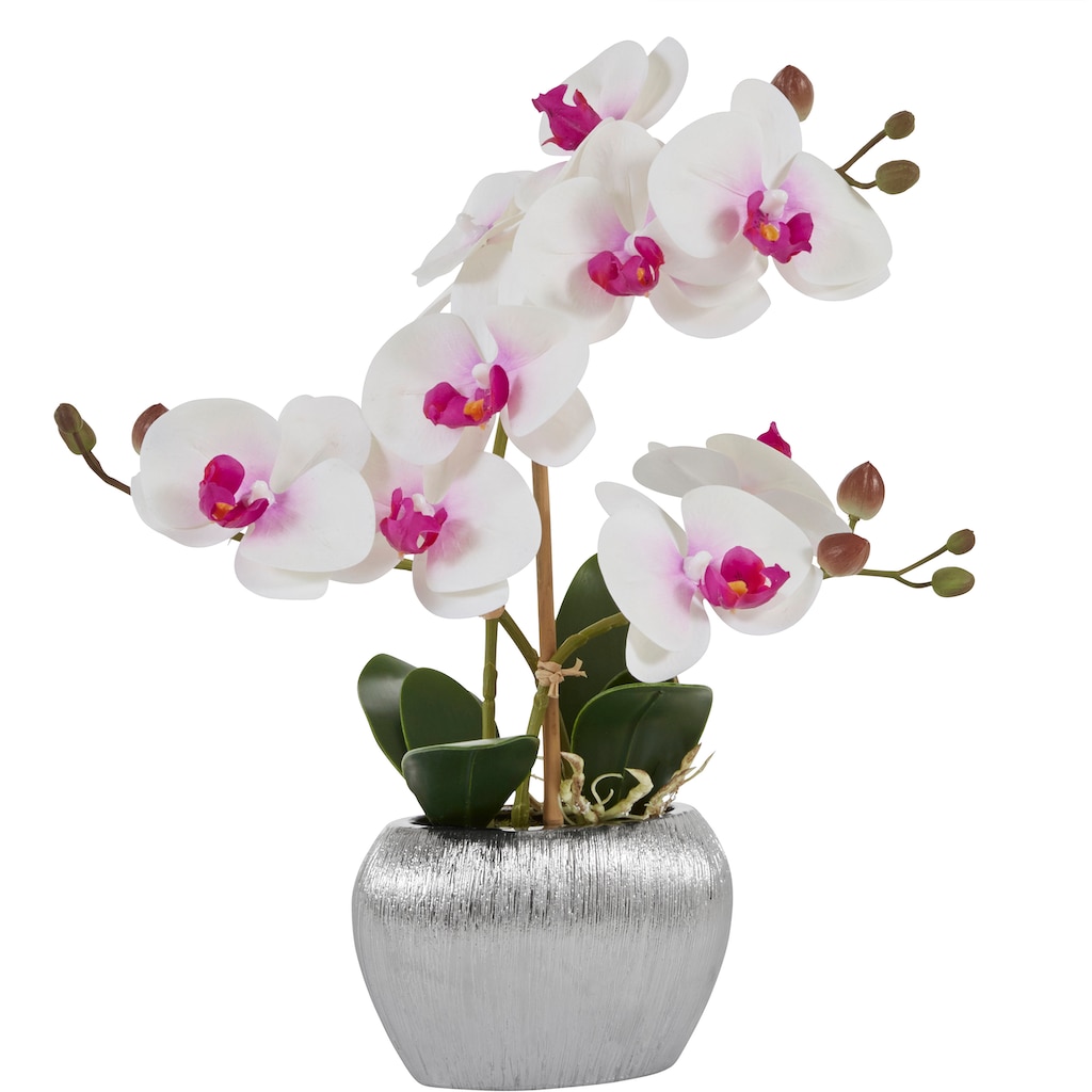 Home affaire Kunstpflanze »Orchidee«