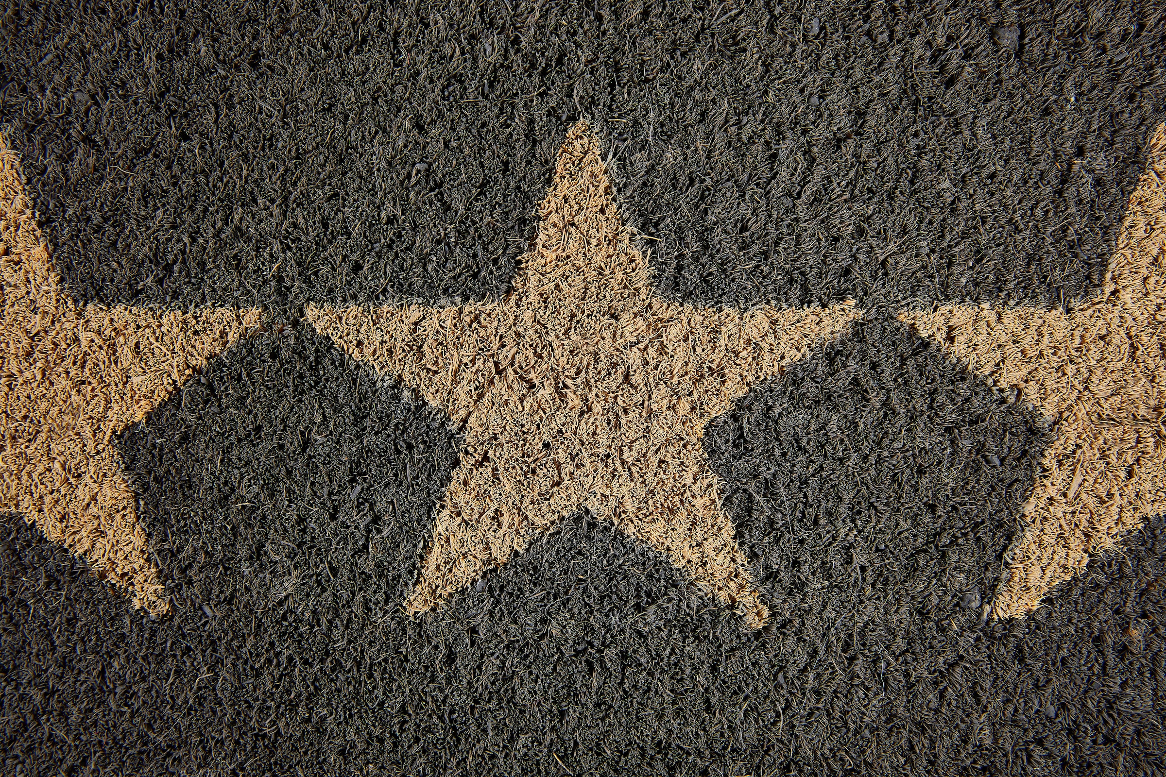 Andiamo Fußmatte »Kokos Star«, rechteckig, Schmutzfangmatte, Motiv Sterne, In- und Outdoor geeignet