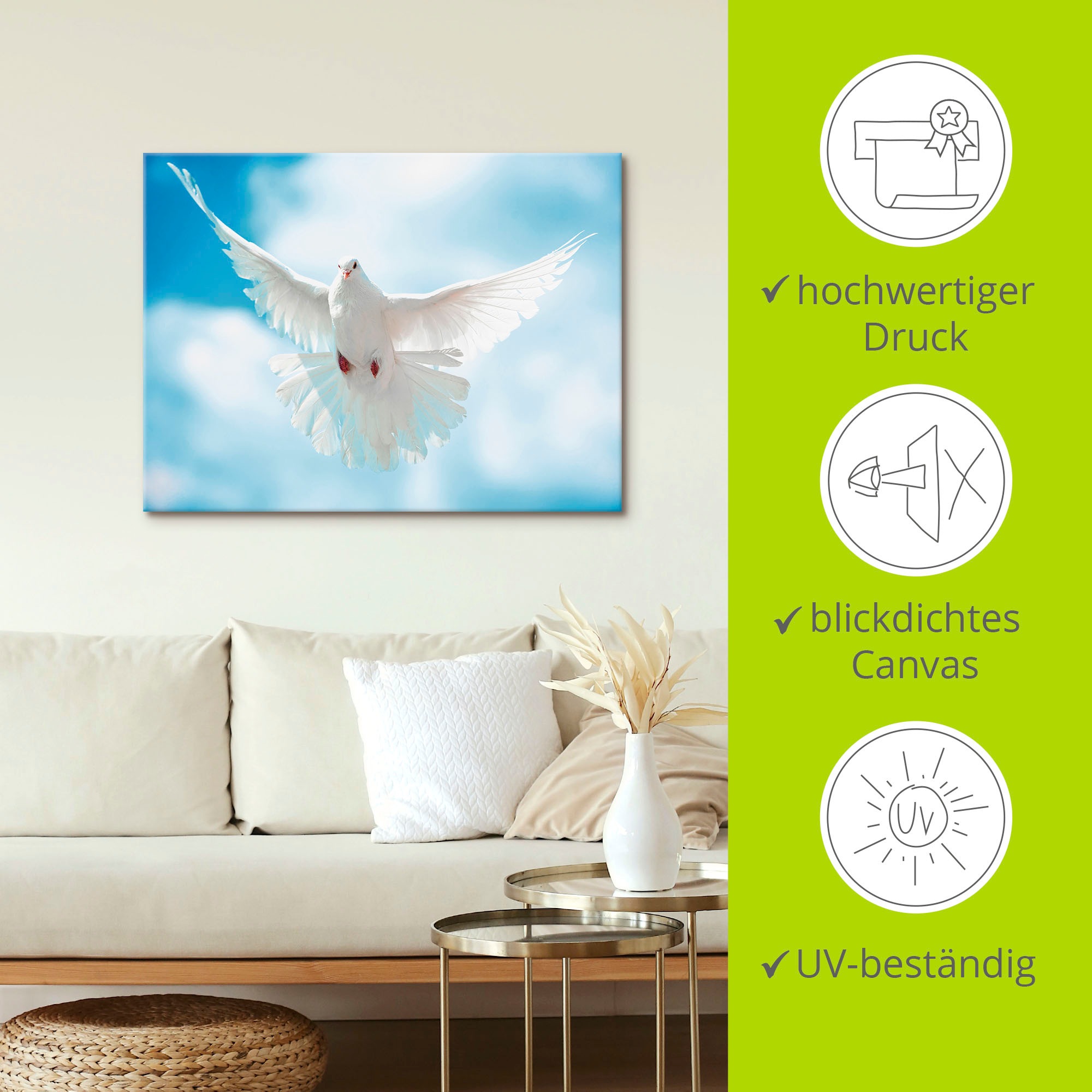 Artland Wandbild »Taube mit ausgebreiteten Flügeln«, Vögel, (1 St.), als Alubild, Outdoorbild, Leinwandbild, Poster in verschied. Größen