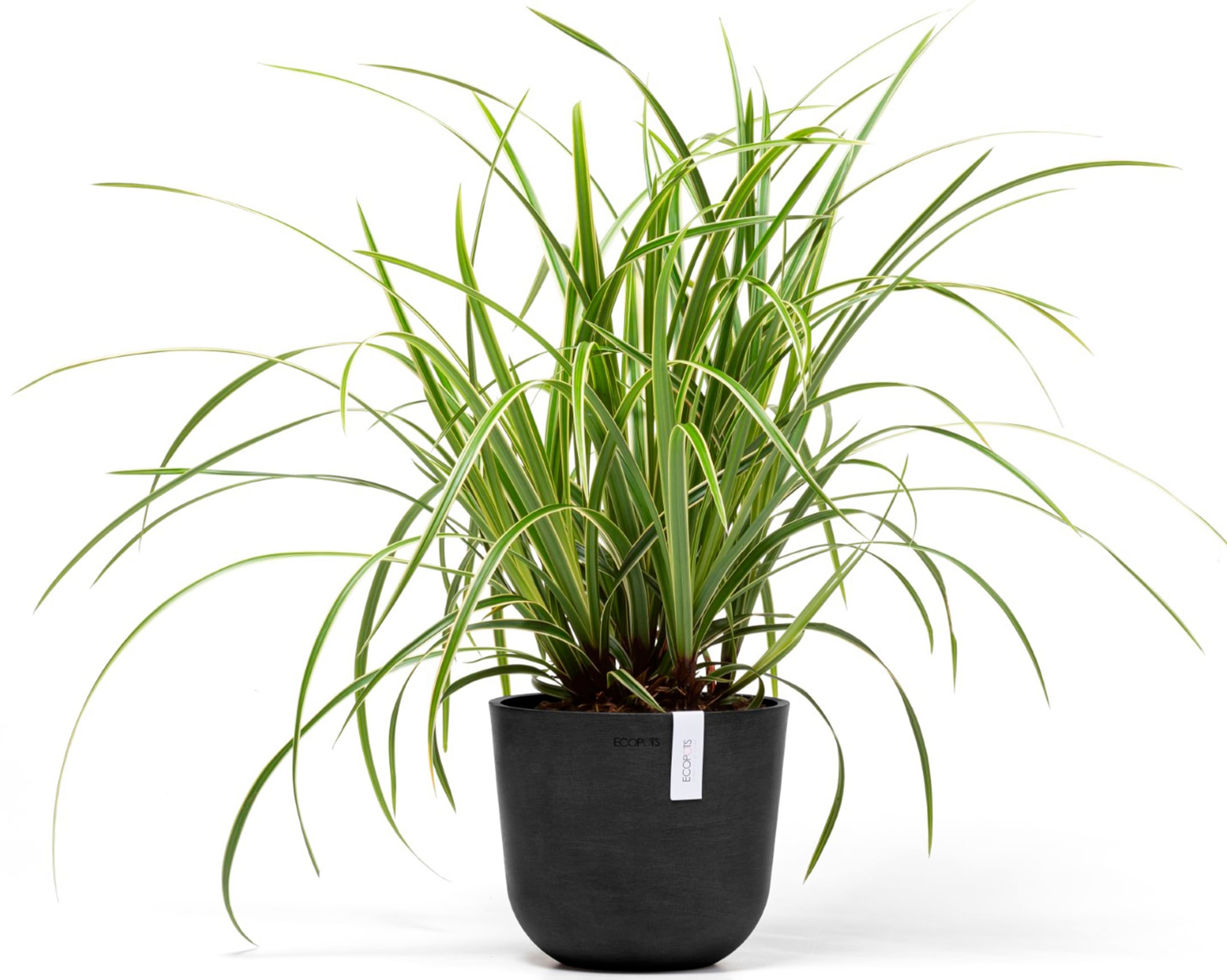 ECOPOTS Blumentopf »Oslo Mini 19 Dunkelgrau«, für den Innenbereich