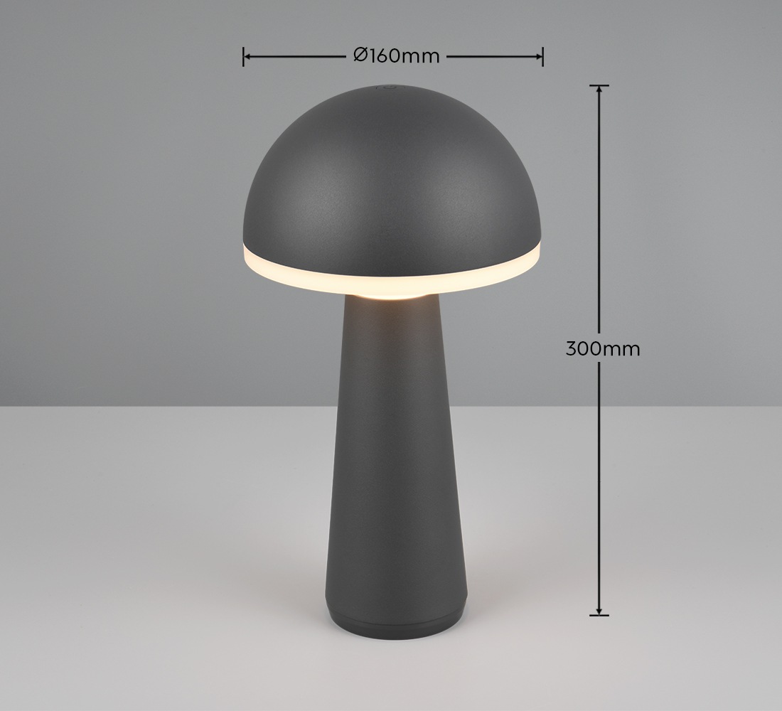 REALITY Leuchten LED Außen-Tischleuchte »FUNGO«, 1 flammig, Leuchtmittel LED-Board | LED fest integriert, Outdoor Akku Tischlampe inkl Ladestation USB-C, Lichtfarbe einstellbar