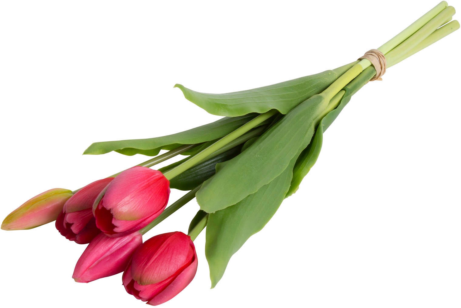 my home Kunstblume »Tulpenbündel Holland real Touch«