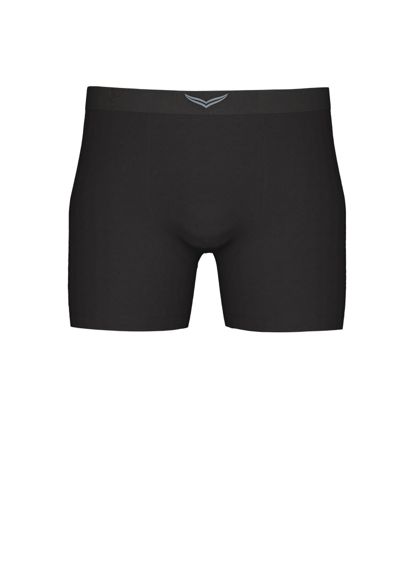 Trigema Boxer »TRIGEMA Pants mit praktischem Gummibund«, (1 St.)