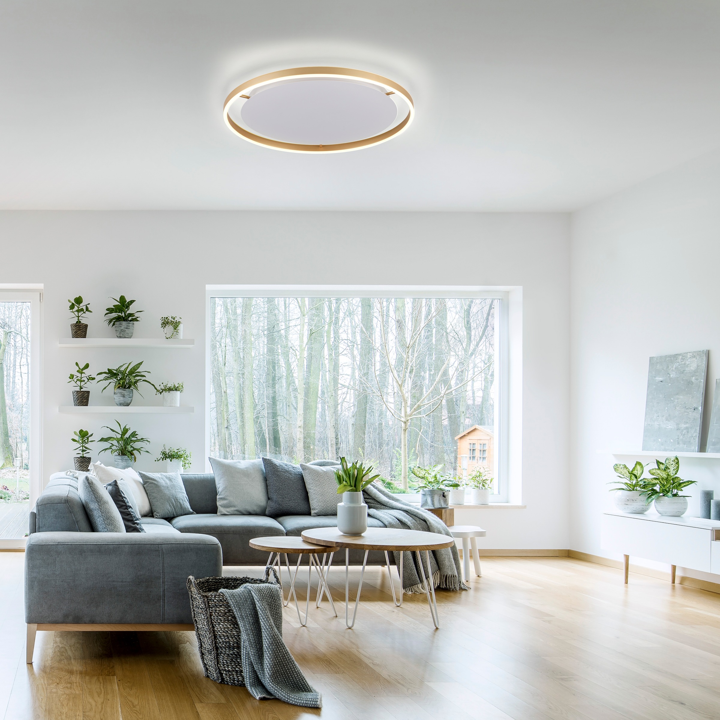 JUST LIGHT Deckenleuchte »RITUS«, 1 flammig, Leuchtmittel LED-Board   LED f günstig online kaufen