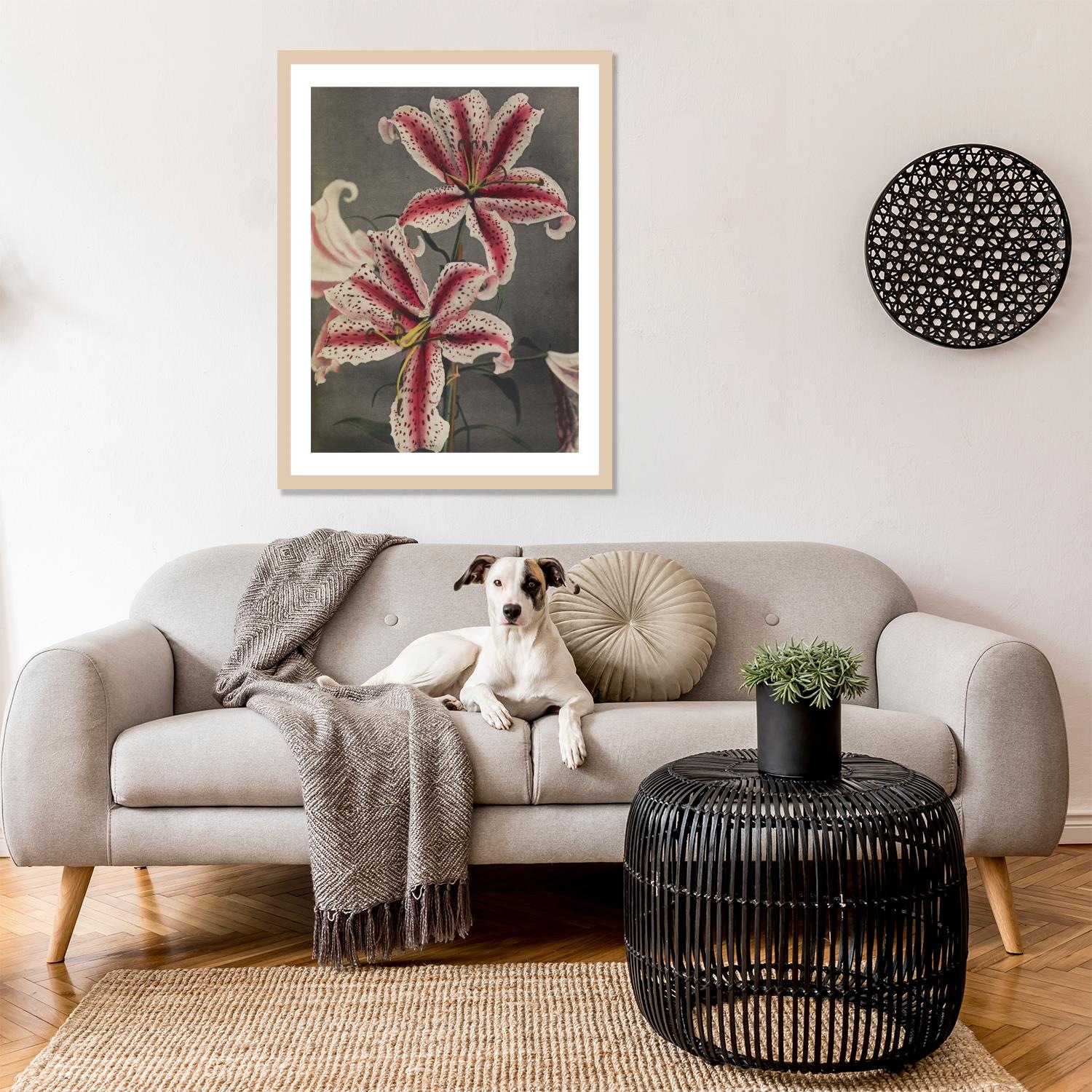 queence Bild mit Rahmen »Edda«, Blumen-Pflanzen-Kunst-Blumenbilder, Premium günstig online kaufen