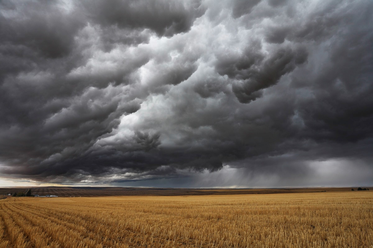 Papermoon Fototapete »Feld mit Gewitter« günstig online kaufen