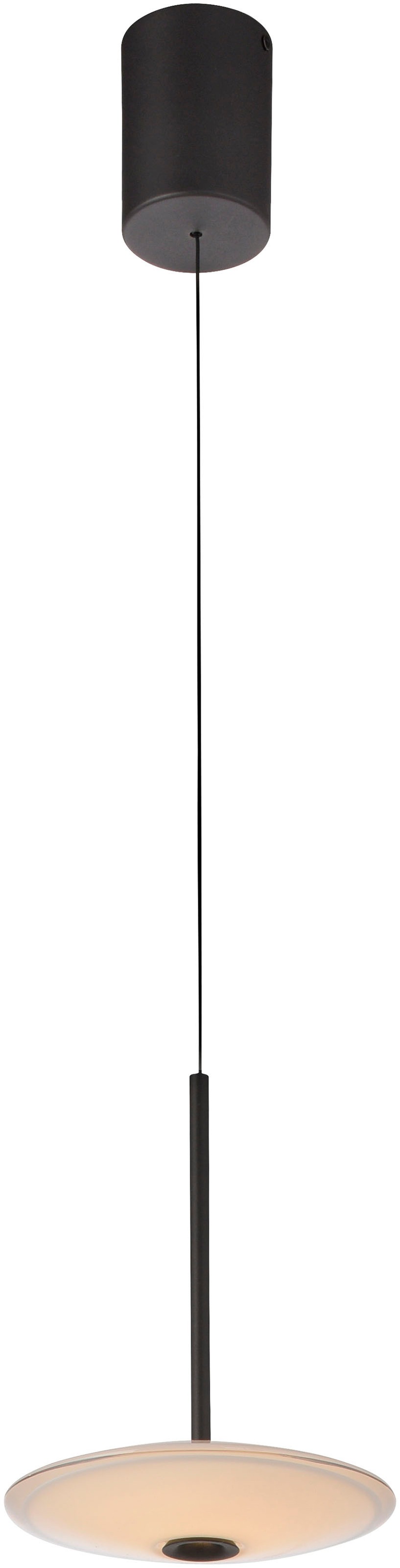 Paul Neuhaus LED Pendelleuchte »ELIPSA« LED-Board 1 Stk. Warmweiß Dimmfähig günstig online kaufen