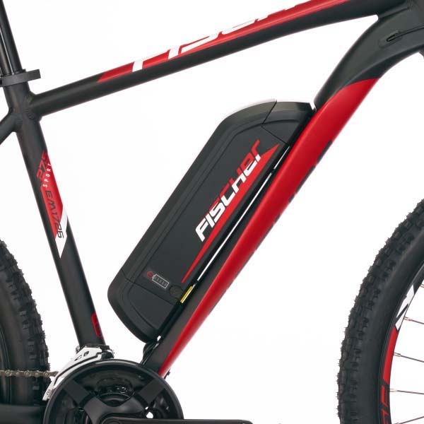 FISCHER Fahrrad E-Bike »MONTIS EM 1726 557«, 10 Gang, Pedelec, Elektrofahrrad für Damen u. Herren, MTB