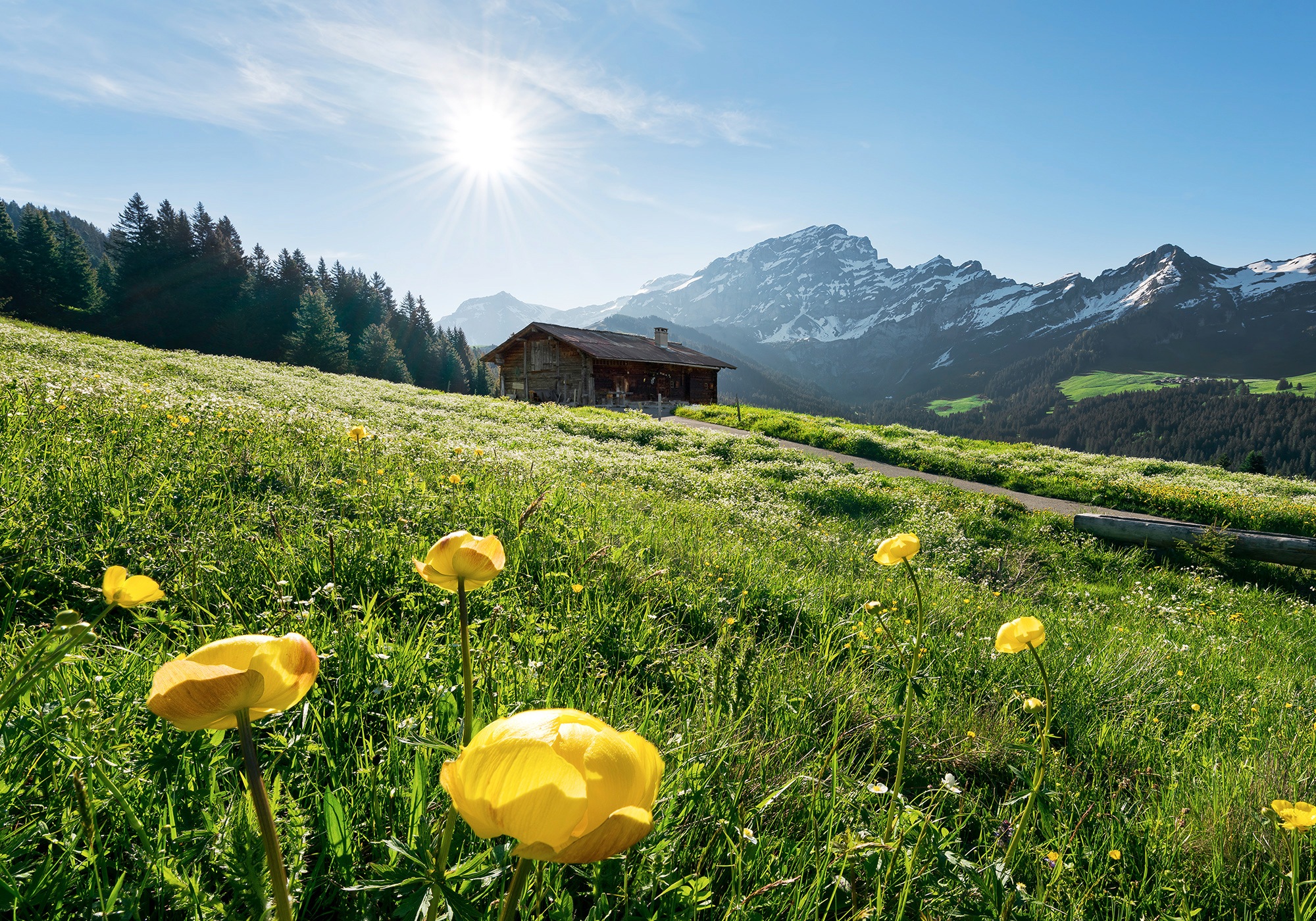 Komar Fototapete Alpenglück B/L: ca. 400x280 cm günstig online kaufen