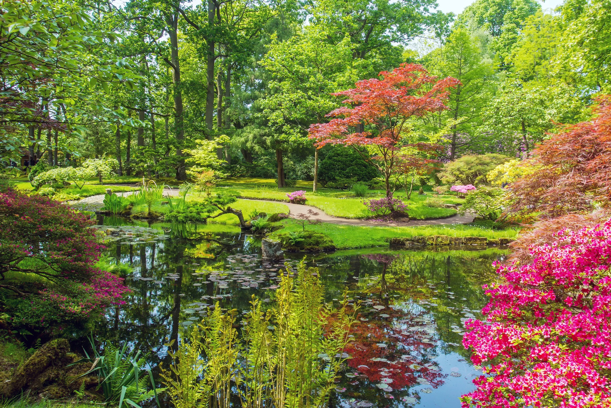 Papermoon Fototapete »GARTEN-BLUMEN BÄUME PFLANZEN STEINE WALD PARK BLÜTEN«