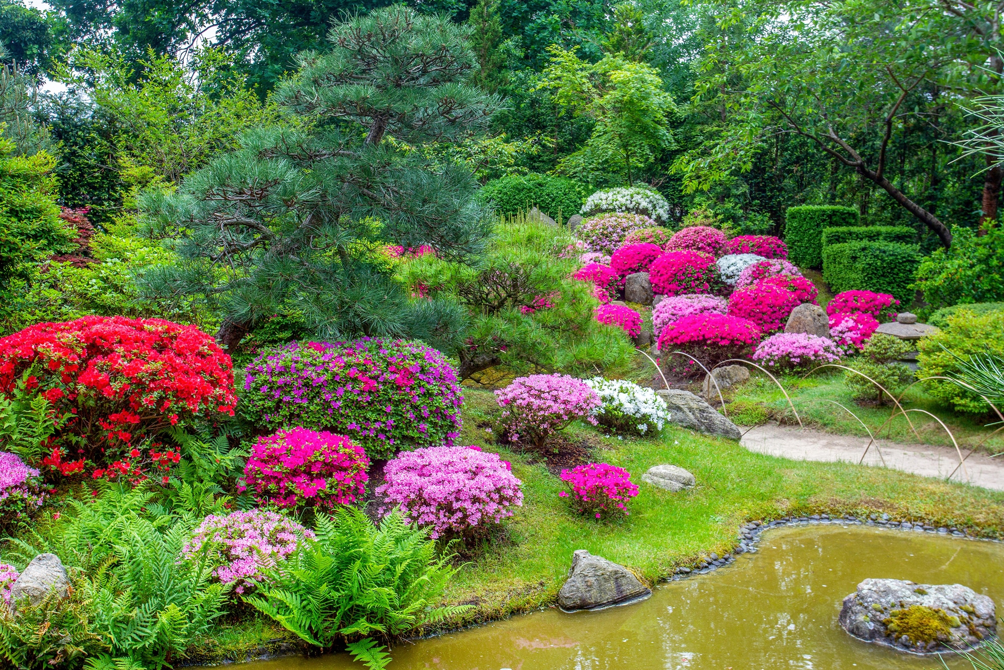 Papermoon Fototapete »GARTEN-BLUMEN BÄUME PFLANZEN STEINE WALD PARK BLÜTEN« günstig online kaufen