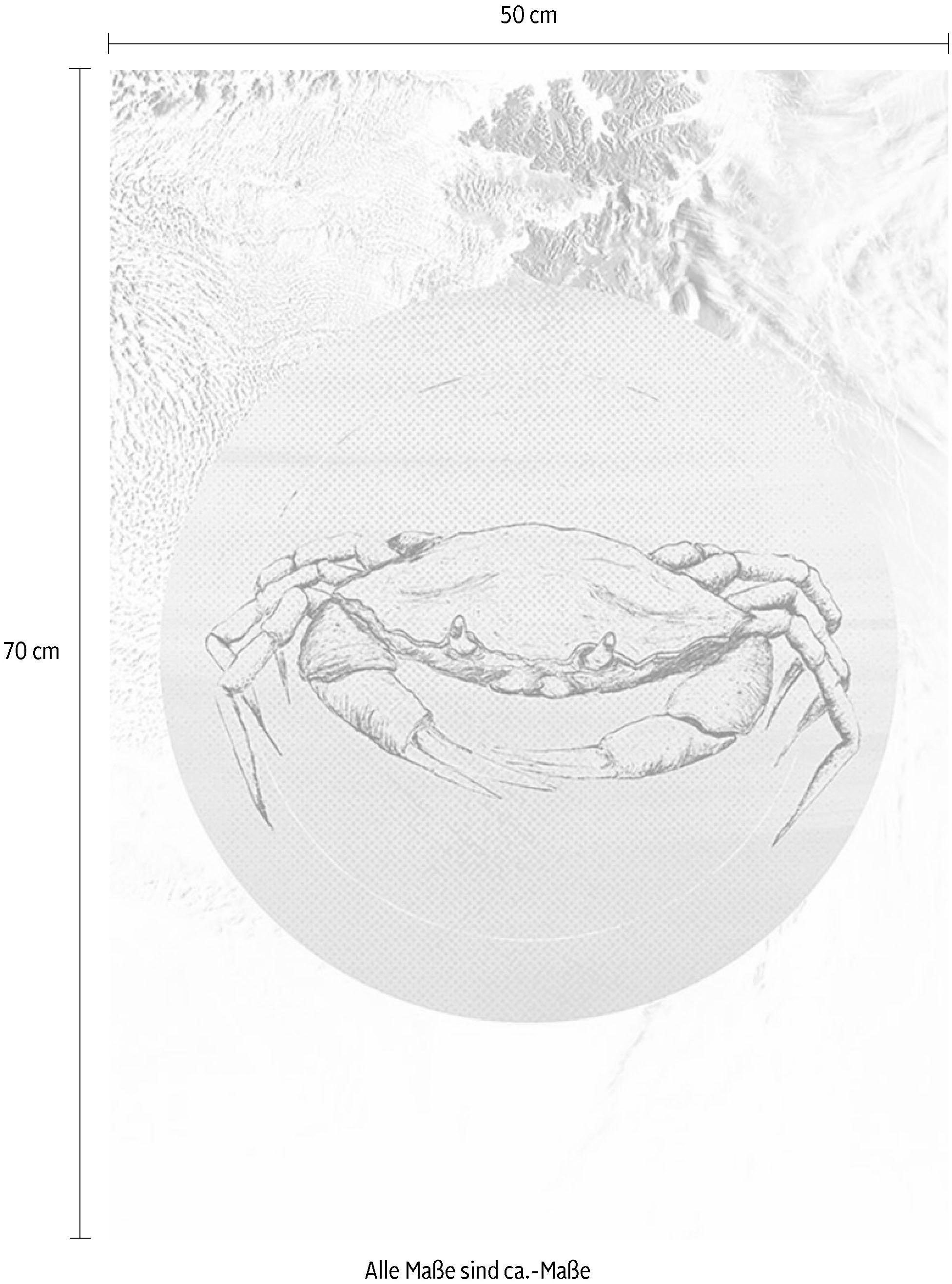 Komar Bild »Crab Sea«, Tiere, (1 St.), Wandbild zur Dekoration - ohne Rahmen