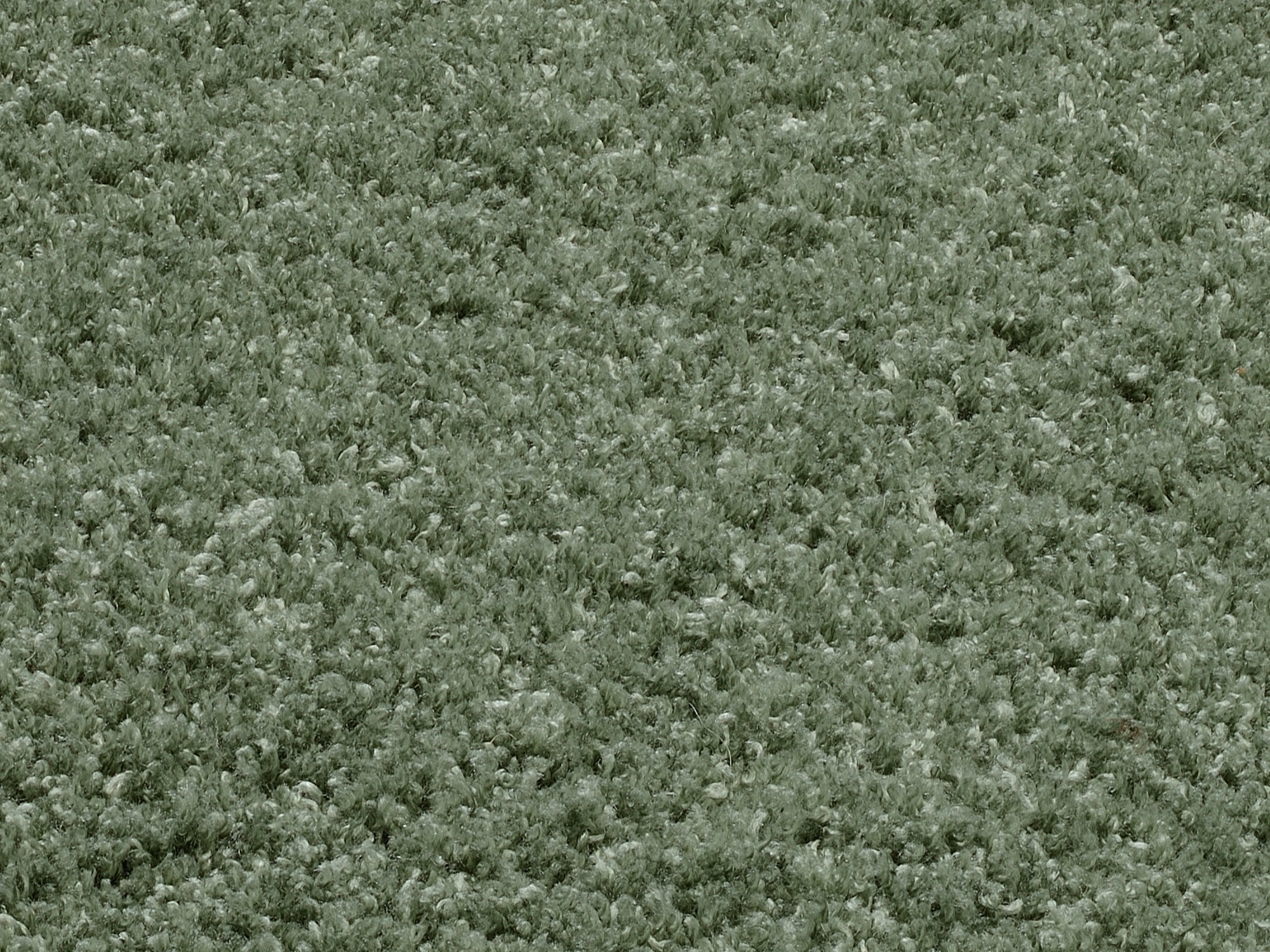 OCI DIE TEPPICHMARKE Hochflor-Teppich »Soft Dream, auch als Läufer erhältlich«, rechteckig, 30 mm Höhe, besonders weich durch Microfaser, Wohnzimmer