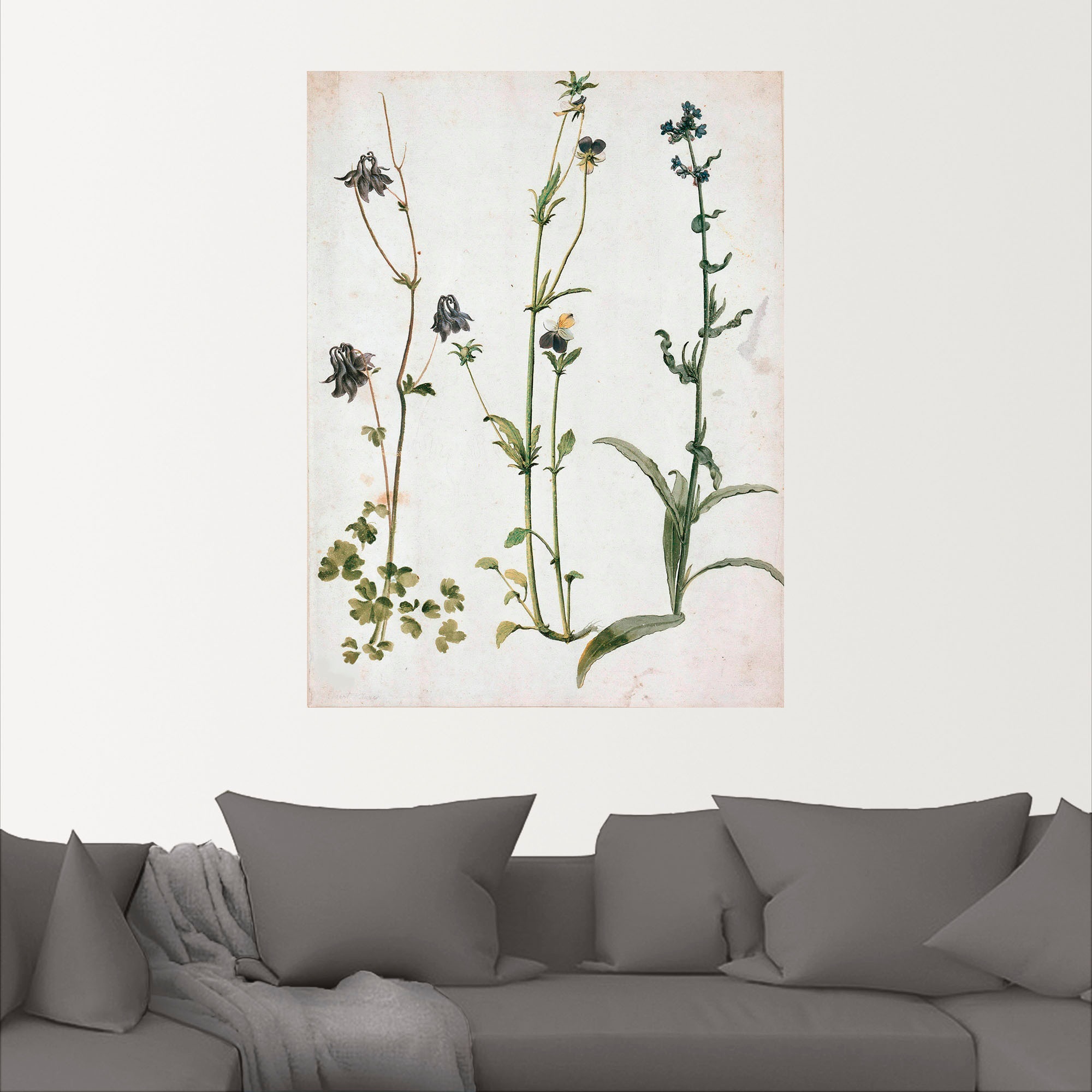 Artland Wandbild »Akelei, Stiefmütterchen und Ochsenzunge«, Blumenbilder, (1 St.), als Leinwandbild, Wandaufkleber in verschied. Größen