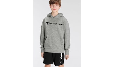 Champion Kapuzensweatshirt online kaufen