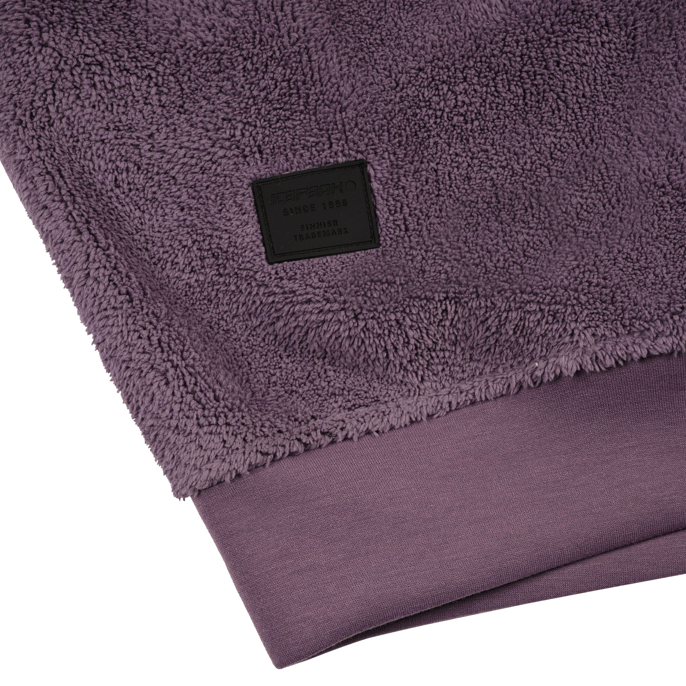 Icepeak Kapuzensweatshirt »D OVERSIZE HOODIE ACERRAT«