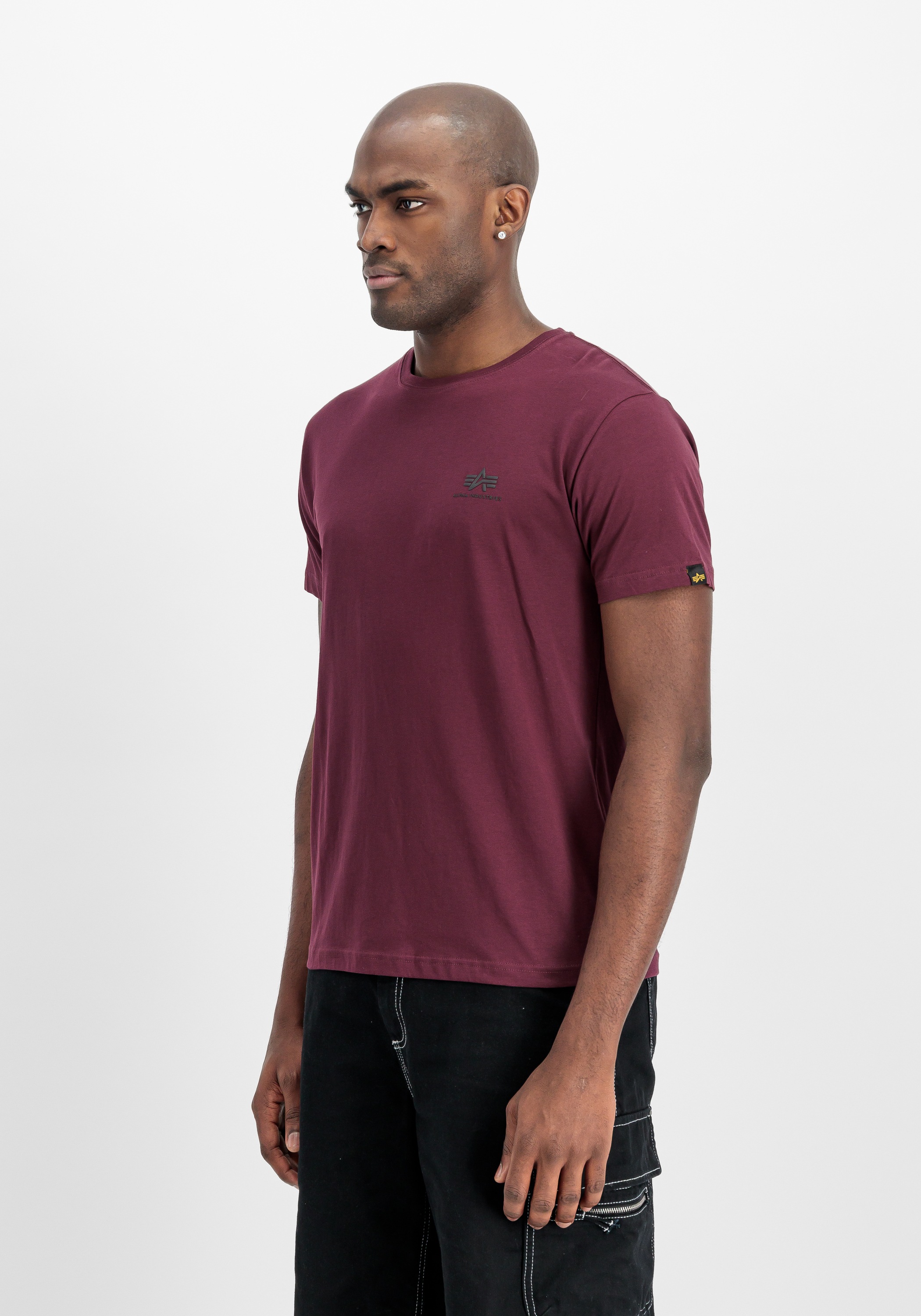 Alpha Industries T-Shirt »Backprint T-Shirt«