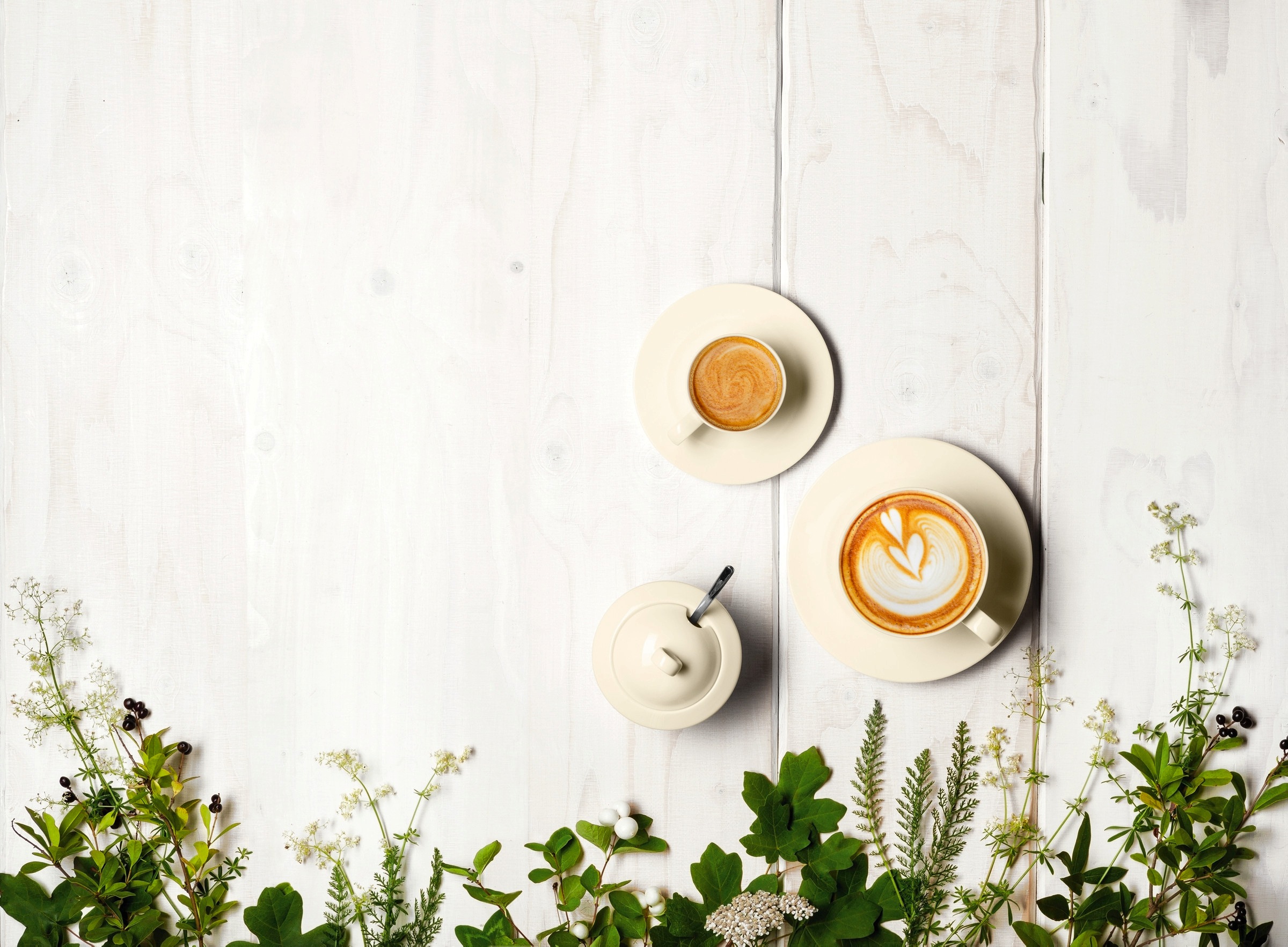 Seltmann Weiden Kaffeeservice »Geschirr-Set, Service Zoè«, (Set, 18 tlg., 6x Kaffeeobertasse, 6x Kombi-Untertasse groß, 6x Frühstücksteller rund), Tassen, Teller, Untertassen, Made in Germany, 18 Teile, für 6 Personen