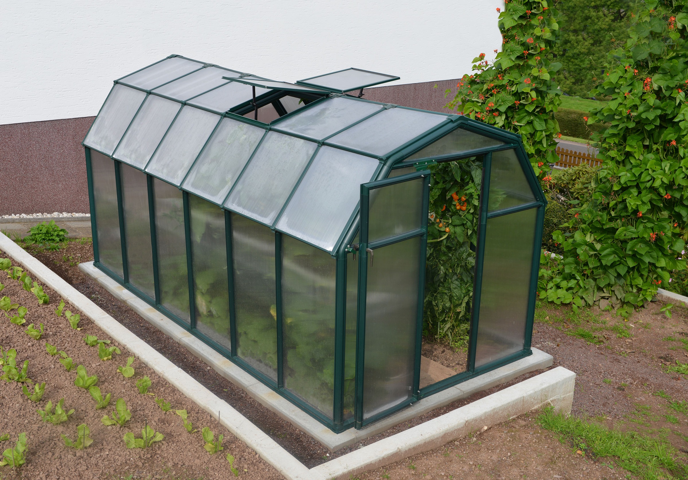 Palram - Canopia Gewächshaus »Eco Grow«, lebenslang widerstandsfähige Wandpaneele