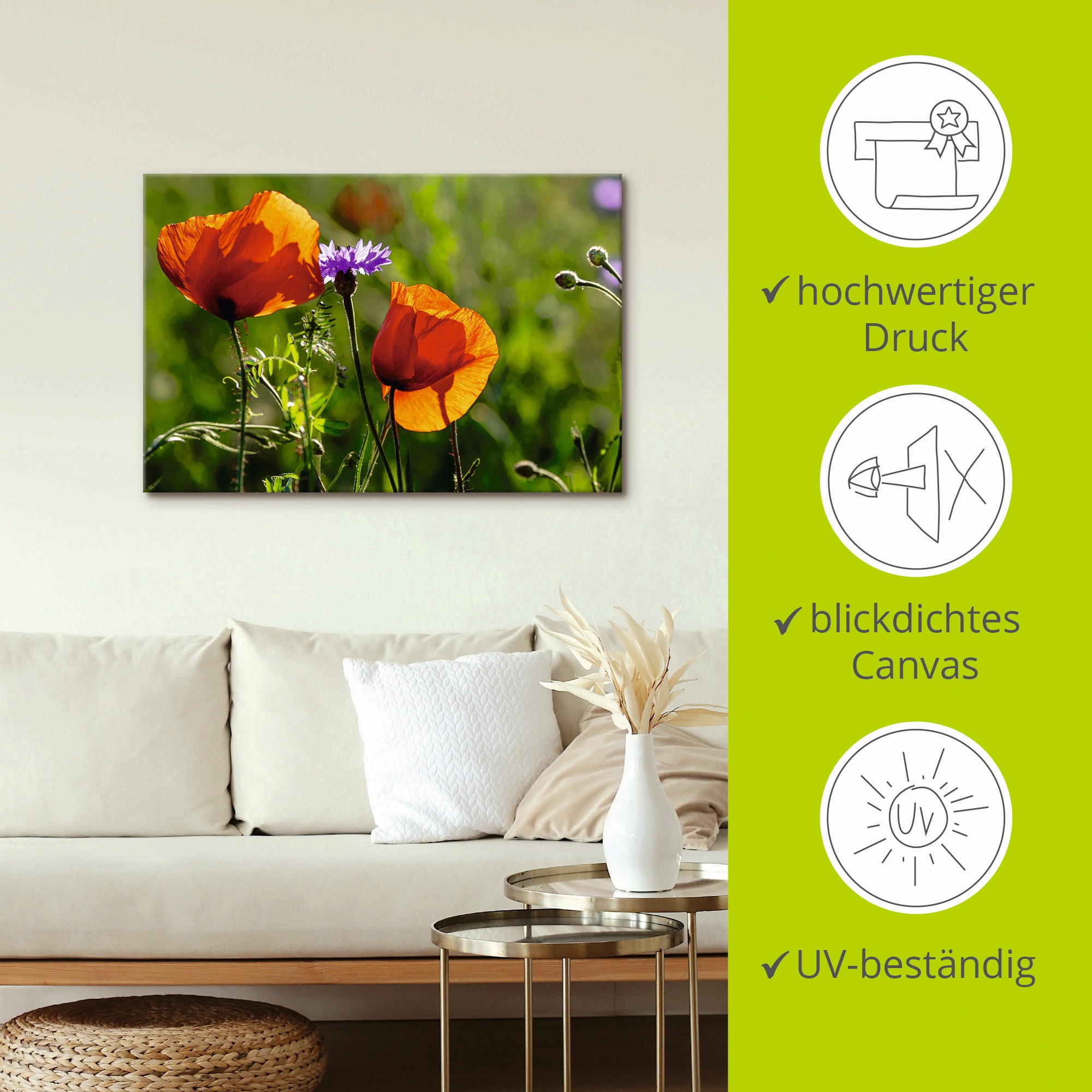 Artland Wandbild »Mohnblumen im Frühling«, Blumen, (1 St.), als Alubild, Outdoorbild, Leinwandbild in verschied. Größen