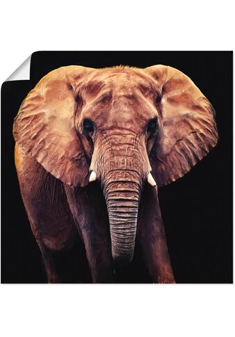 Artland Wandbild »Elefant«, Wildtiere, (1 St.), in vielen Größen & Produktarten... kaufen