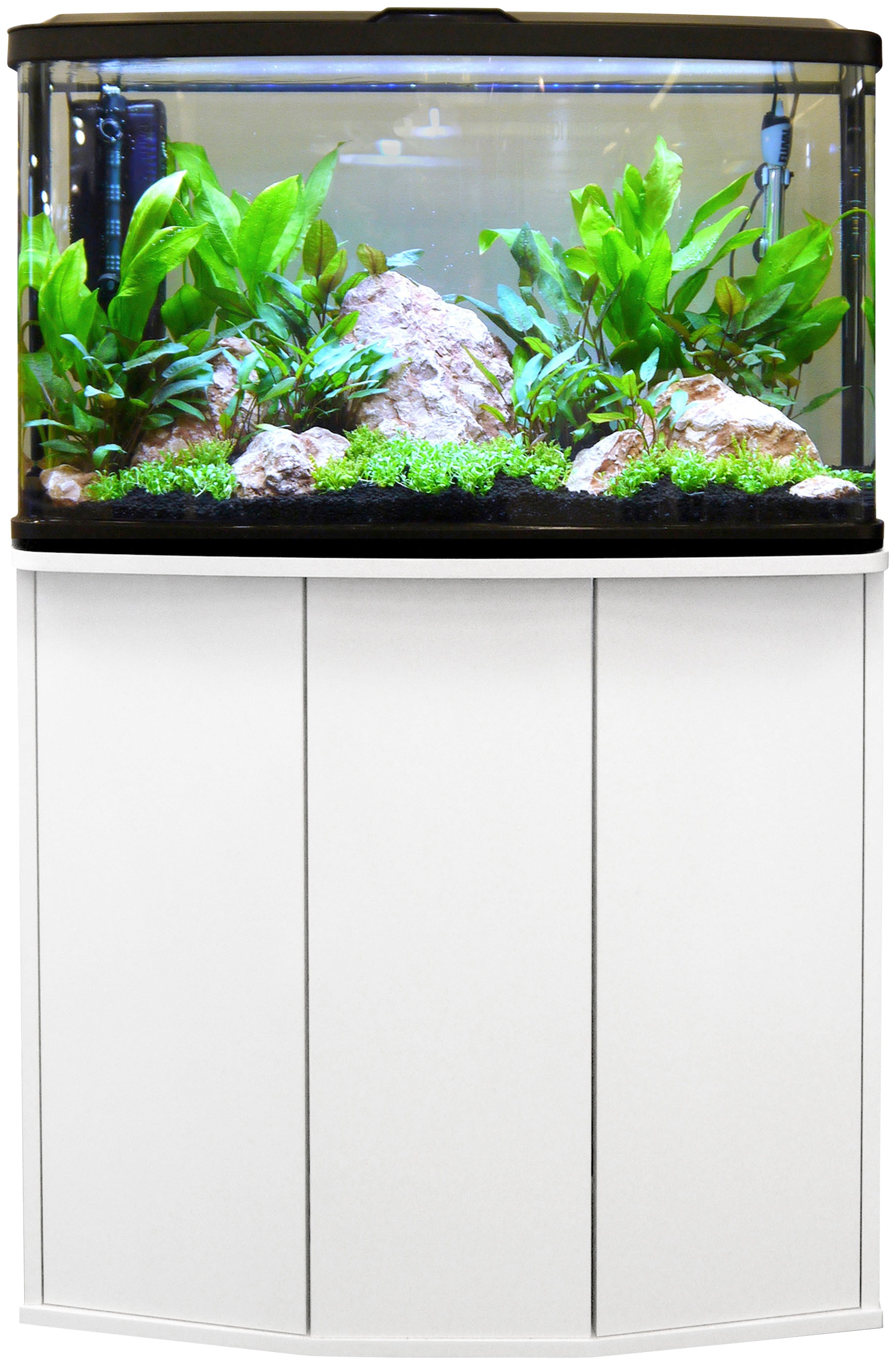 fluval aquarium