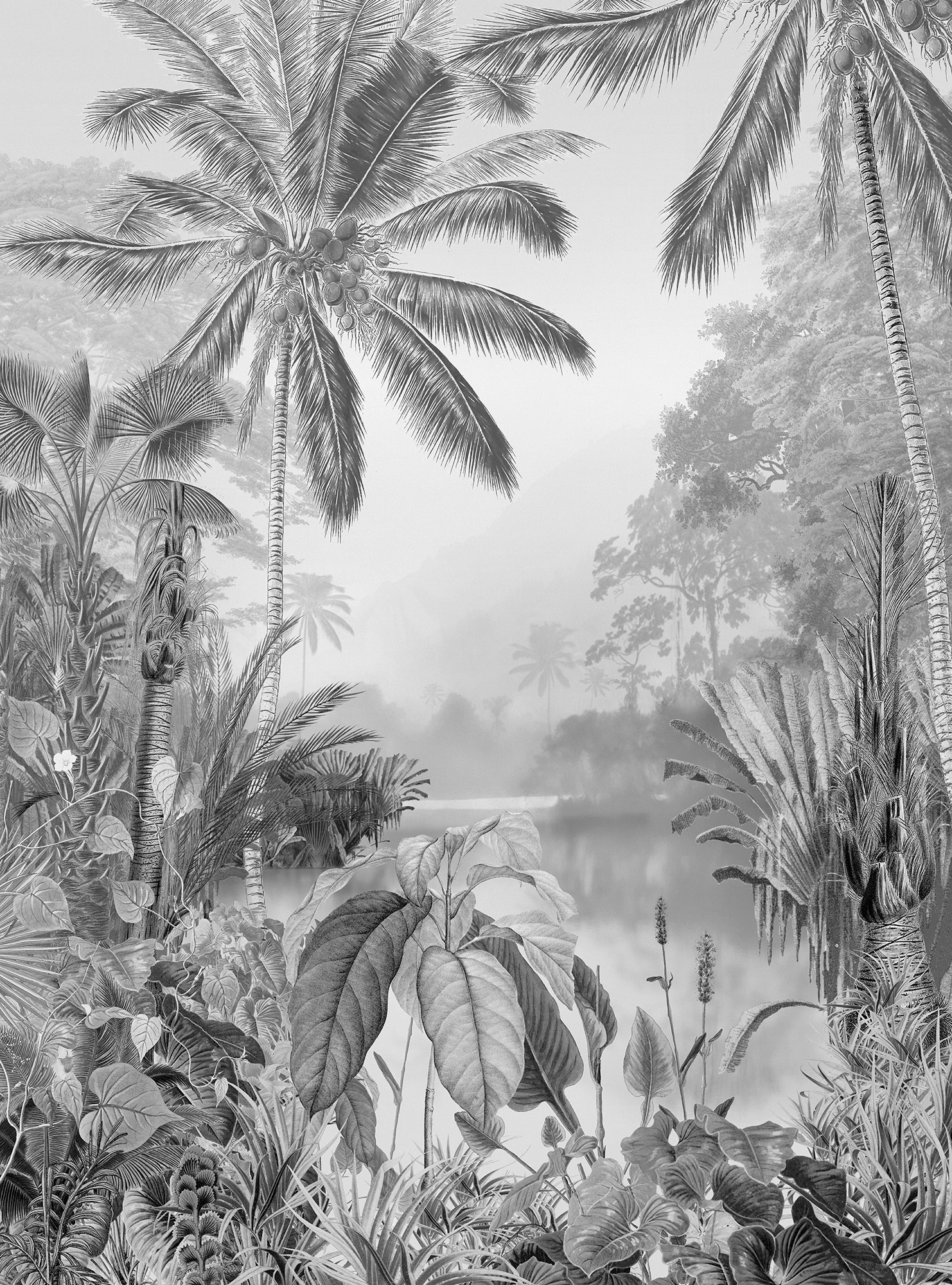 Komar Fototapete Lac Tropical Black & White B/L: ca. 200x270 cm günstig online kaufen