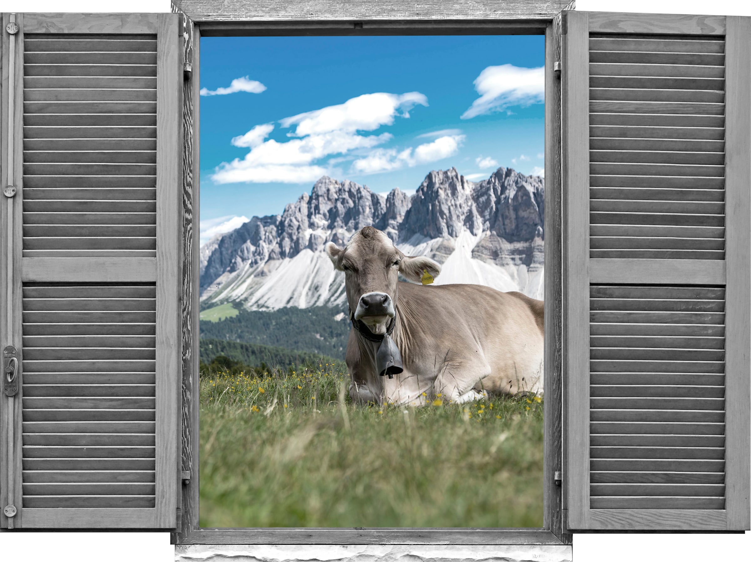 queence Wandtattoo »Kühe« Wandsticker, Wandbild, selbstklebend, 3D, Fenster günstig online kaufen