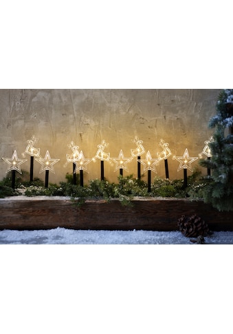 LED Gartenleuchte »Leuchtstab Stern, Weihnachtsdeko«, Warmweiß, mit 12 Erdspießen kaufen