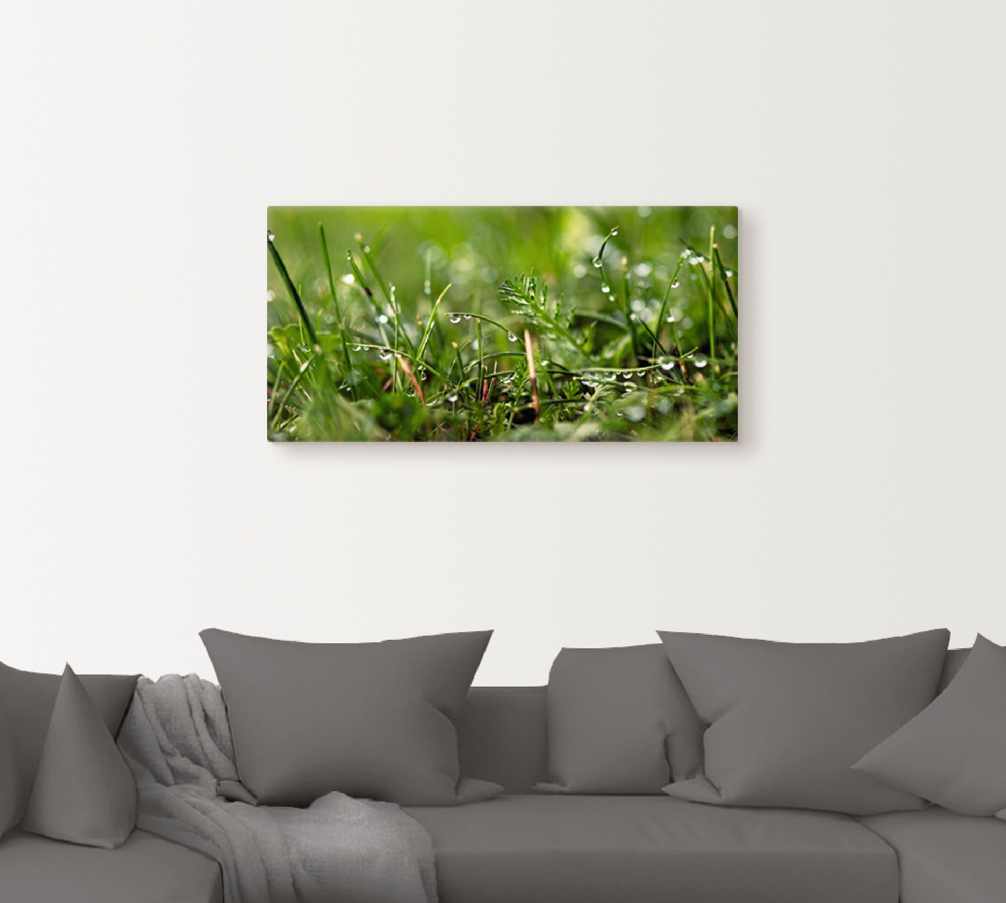Artland Wandbild »Tautropfen«, Gräser, (1 St.), als Alubild, Outdoorbild, Leinwandbild, Poster in verschied. Größen