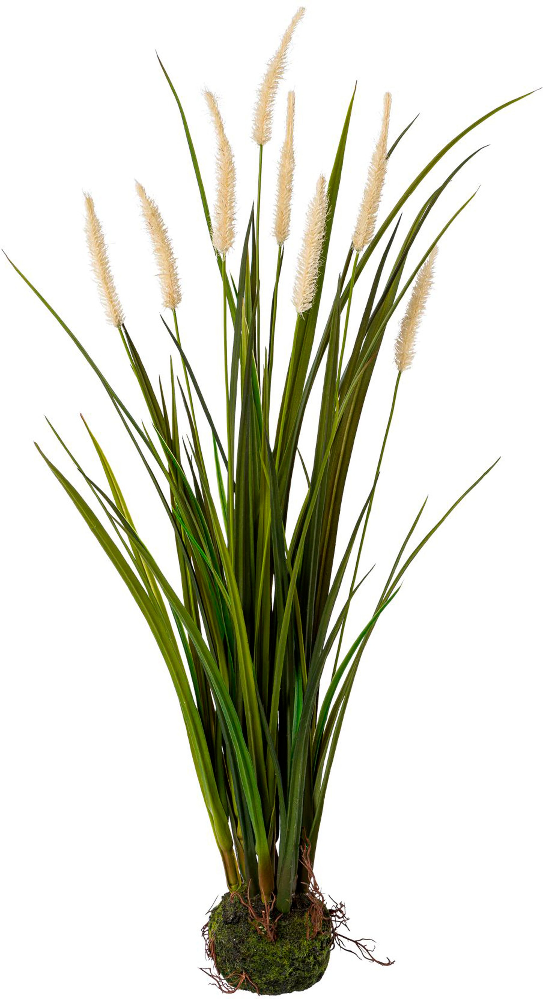 Creativ green Kunstgras »Miscanthus im Erdballen« günstig online kaufen