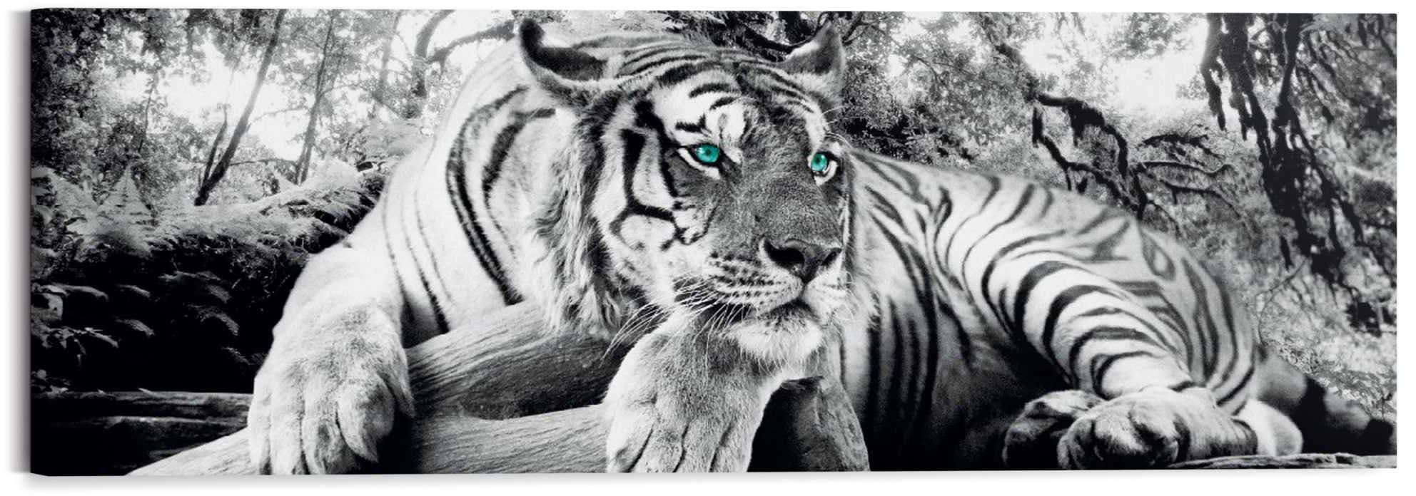 Reinders! Wandbild »Tigerblick Wandbild Tiger - Raubtier - Wandbild Wohnzimmer - Wandbild«
