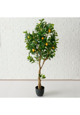 BOLTZE Kunstbaum »Zitrone«, (1 St.) kaufen