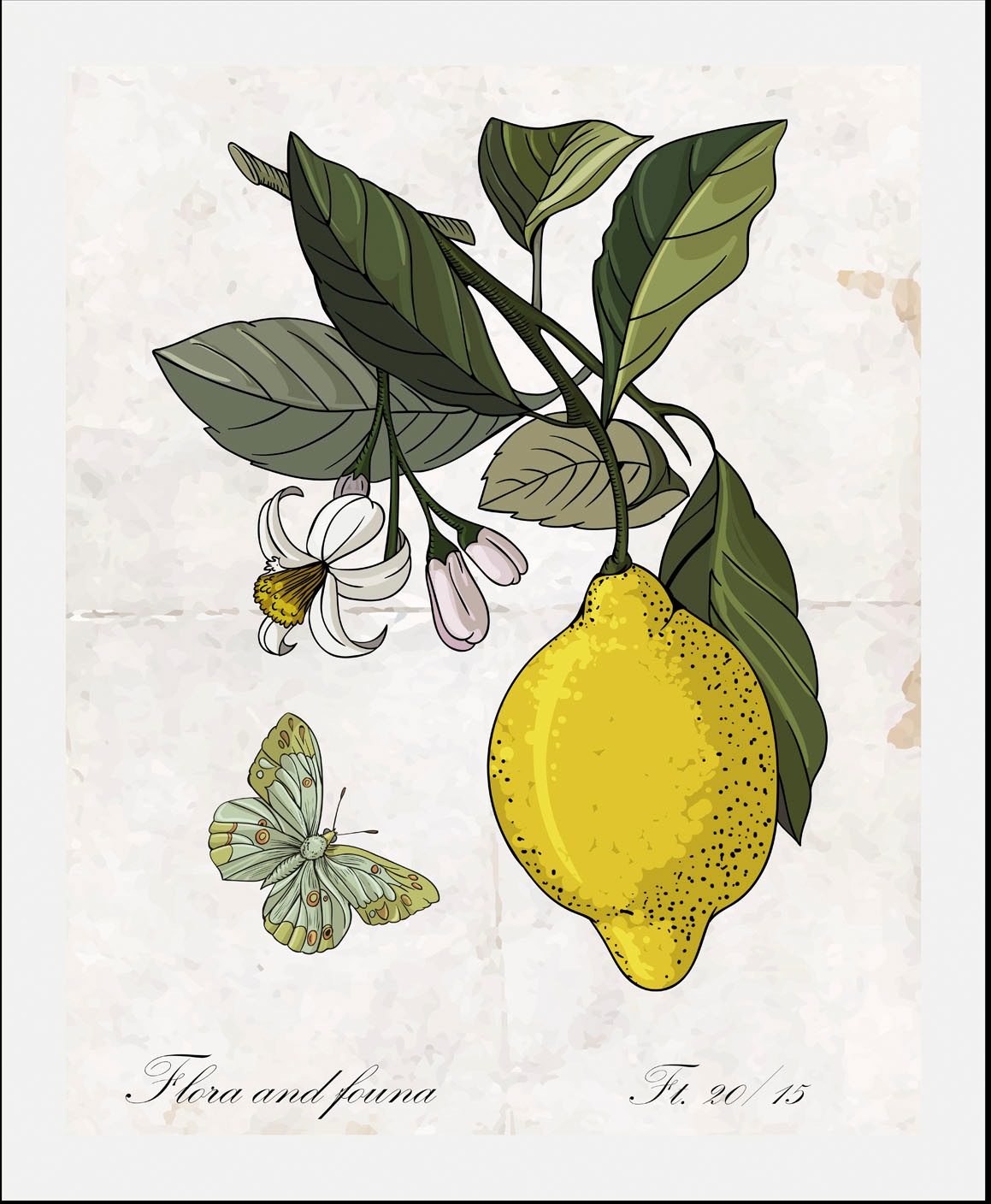 queence Bild »Enyo«, Obst-Obst Bilder-Essen-Lebensmittel-Kunst-Schriftzug-S günstig online kaufen