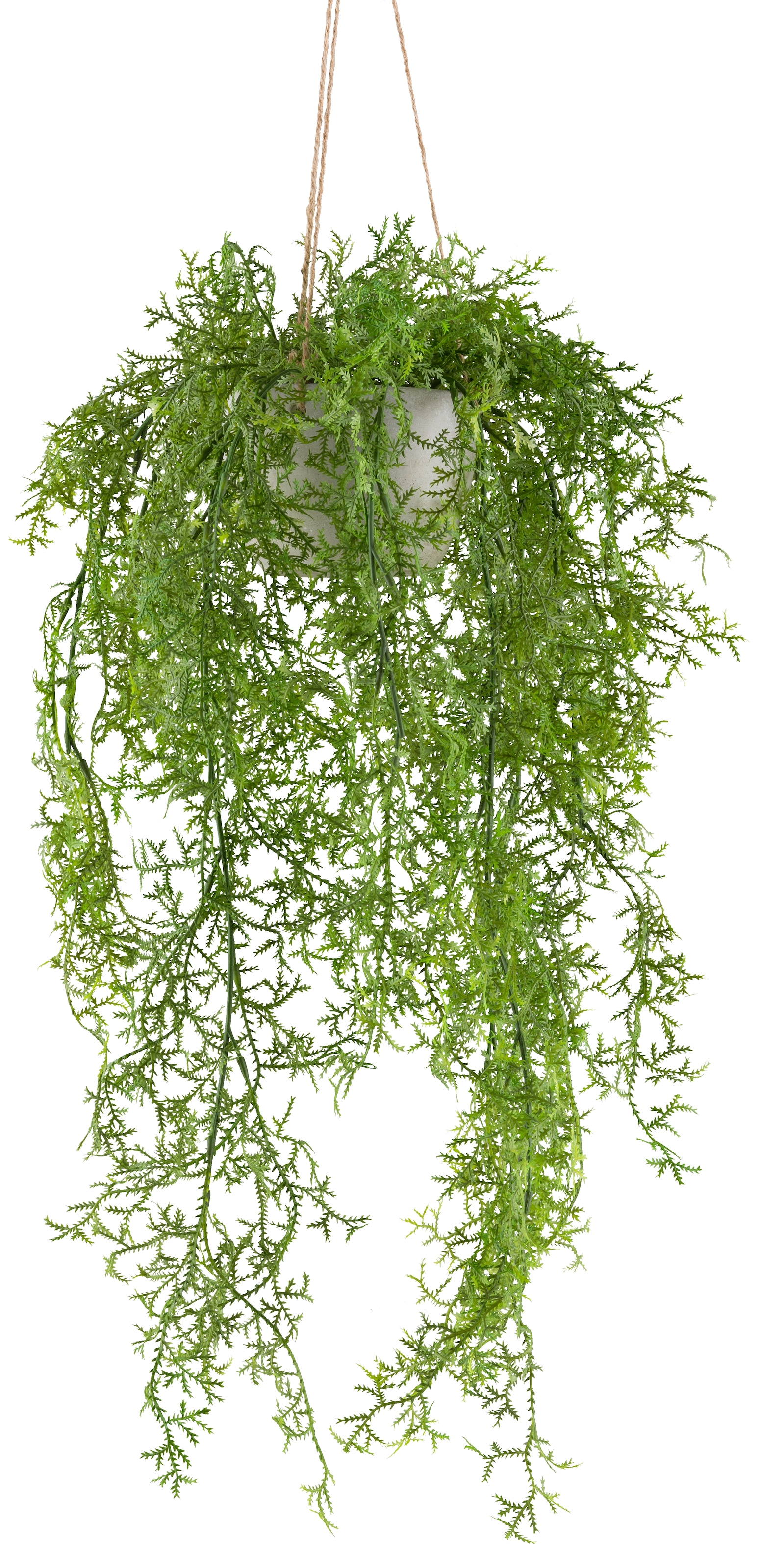 Creativ green Kunstranke »Moosfarn«, mit üppigen Ranken günstig online kaufen