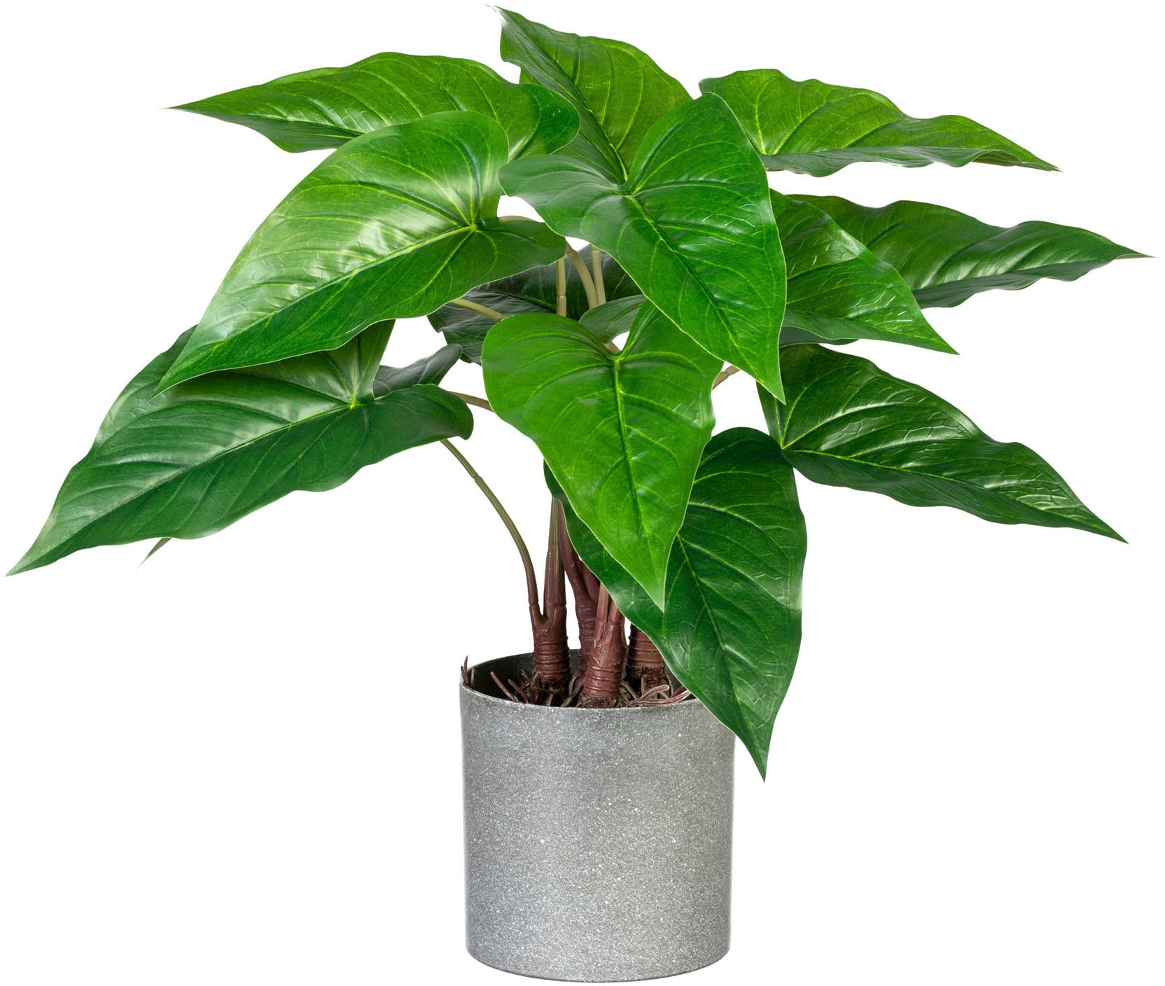 Künstliche green Melamintopf Zimmerpflanze Creativ bestellen St.), »Anthurium«, (1 online im