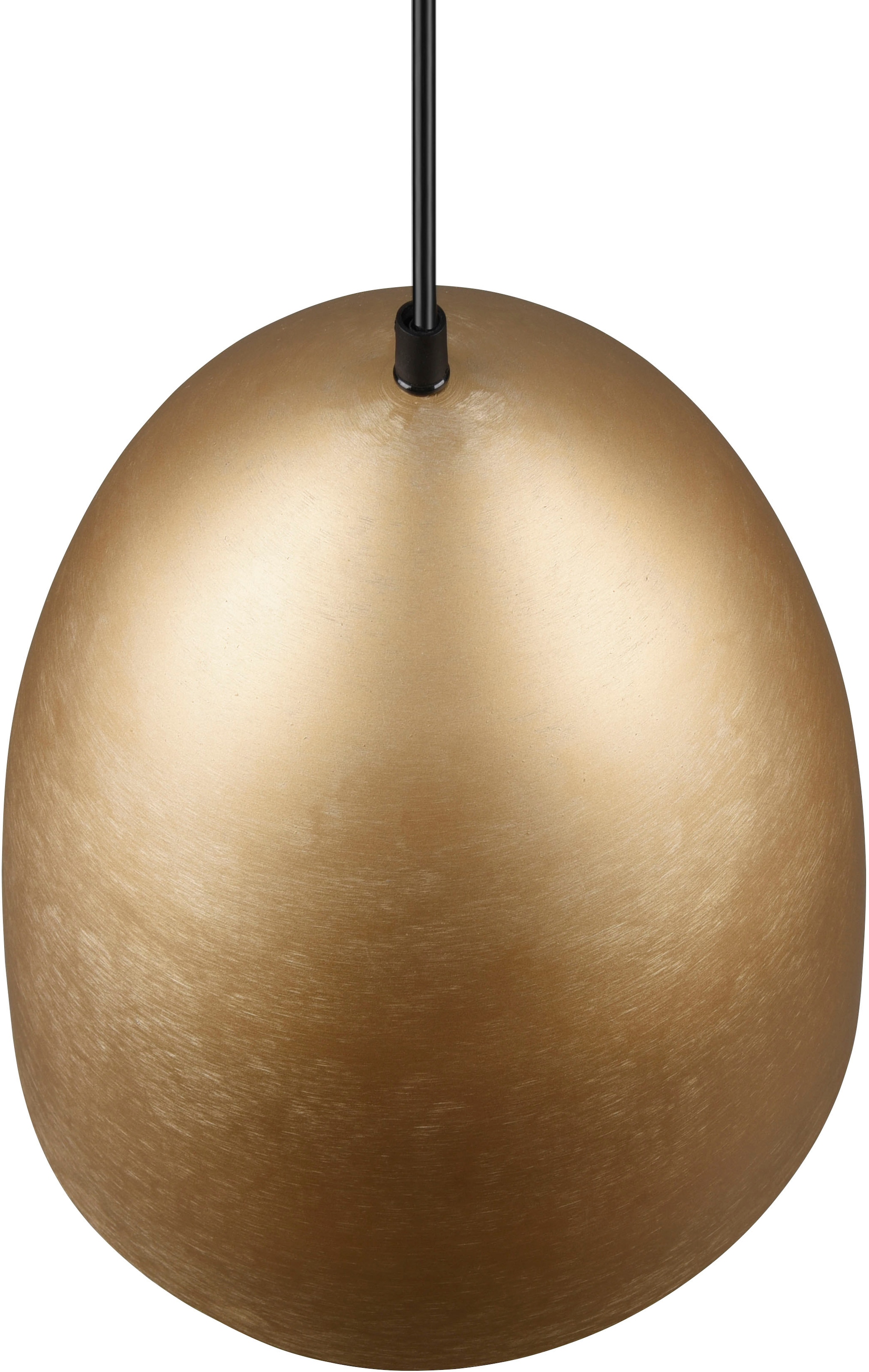 REALITY Leuchten Pendelleuchte »Tilda«, 1 flammig, Leuchtmittel E27 | ohne Leuchtmittel, elegante Hängelampe, max 150cm höhenverstellbar, exkl 1xE27 max 40W