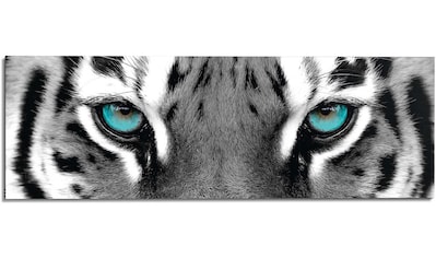 Artland Glasbild »Tiger_sepia«, Wildtiere, (1 St.), in verschiedenen Größen  auf Raten bestellen