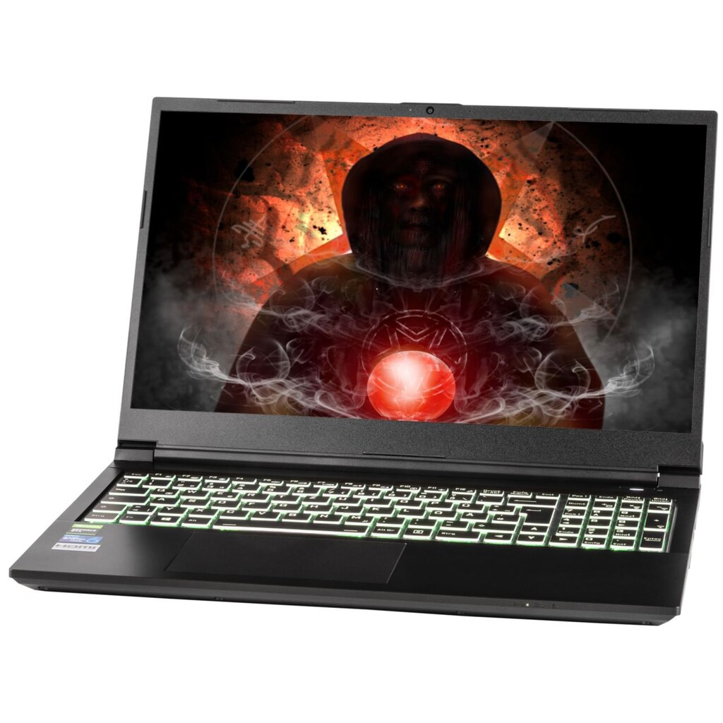 CAPTIVA Gaming-Notebook »Power Starter I61-930«, 39,6 cm, / 15,6 Zoll, Intel, Core i5, GeForce MX 350, 1000 GB SSD